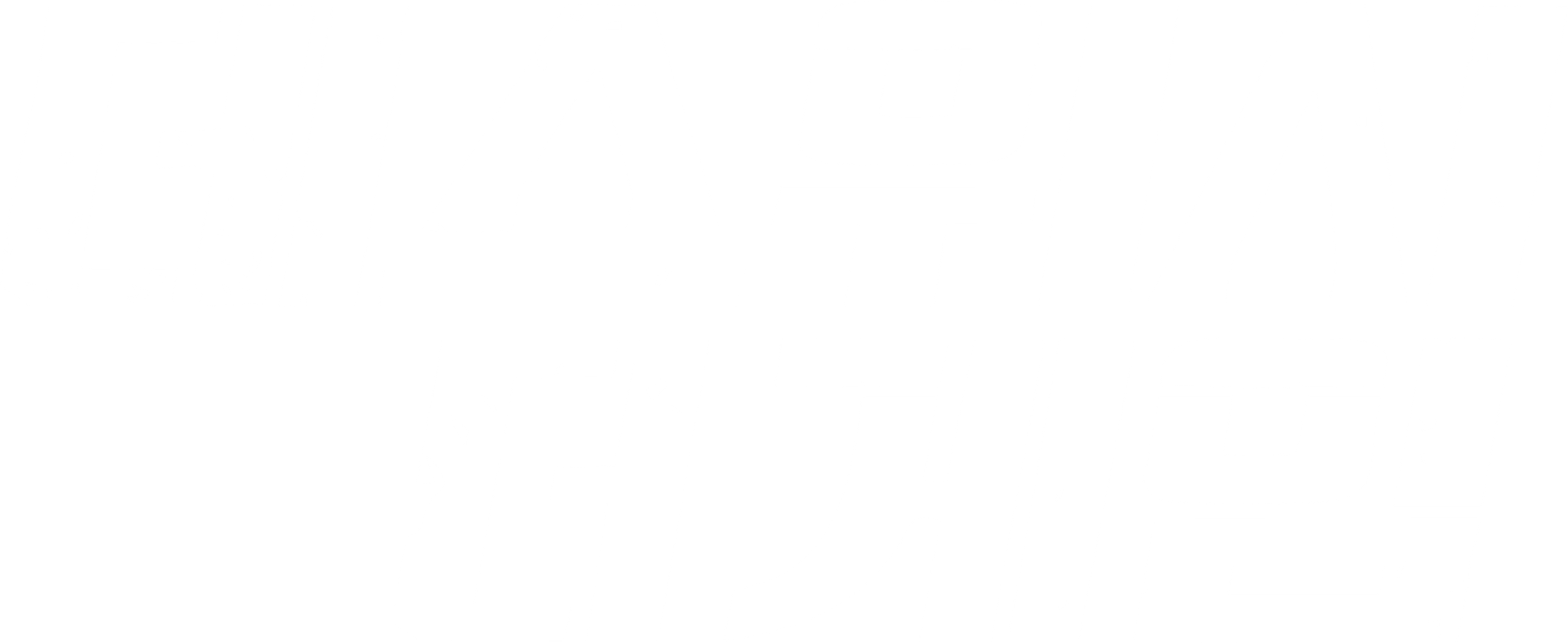 데스위시 더 게임