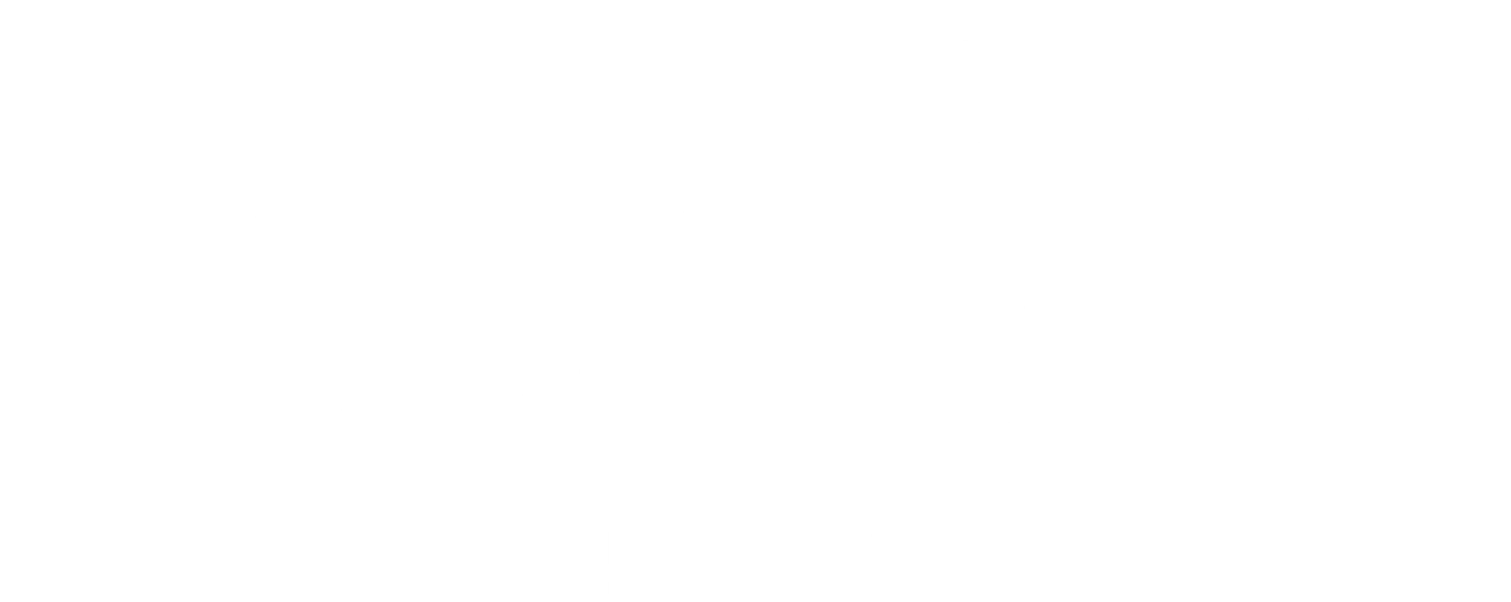 기문둔갑:대언술사