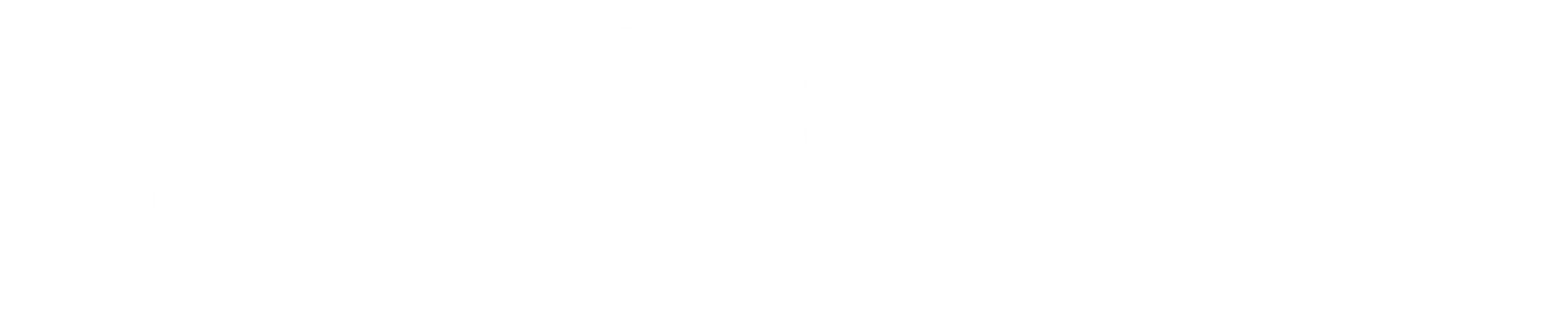오미자, 날다