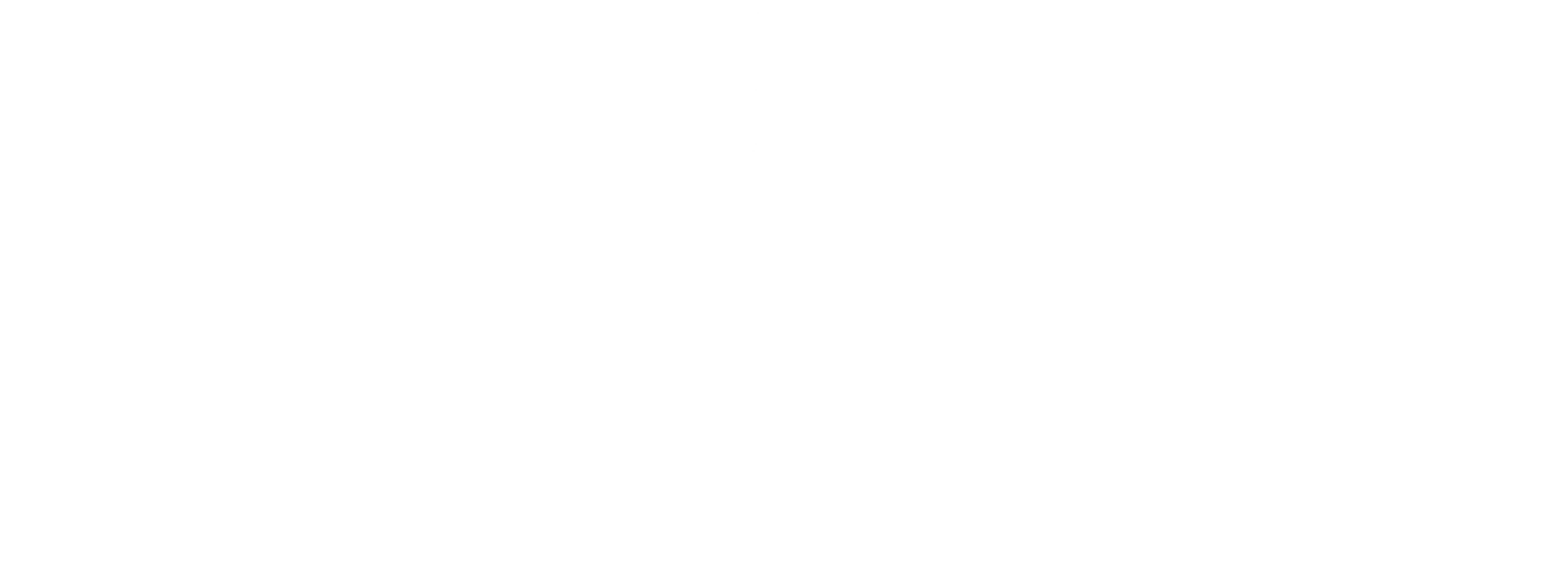 프로젝트 런웨이 시즌 19
