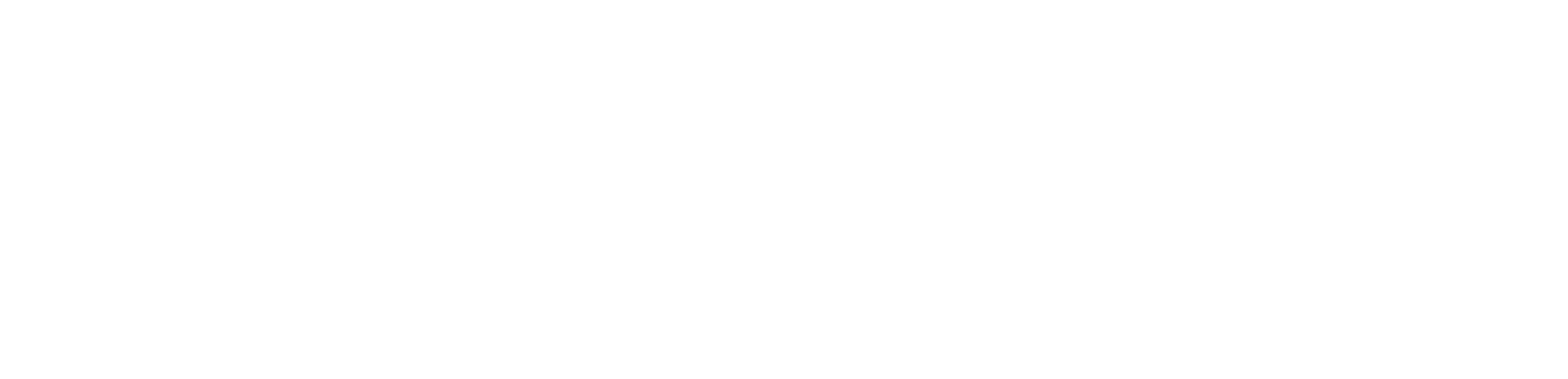 스페셜 보디가드: 죽음의 임무