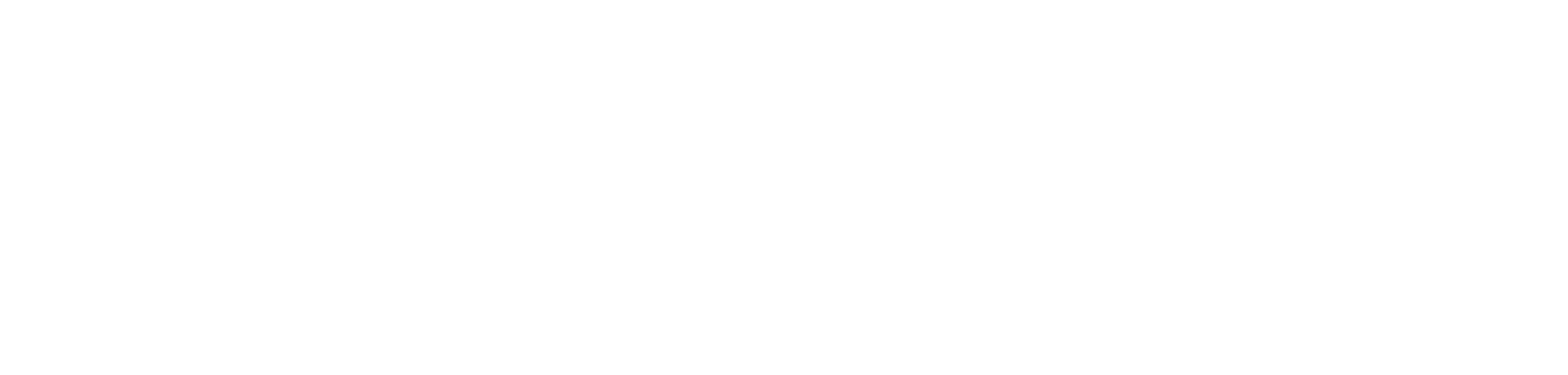 데미지드