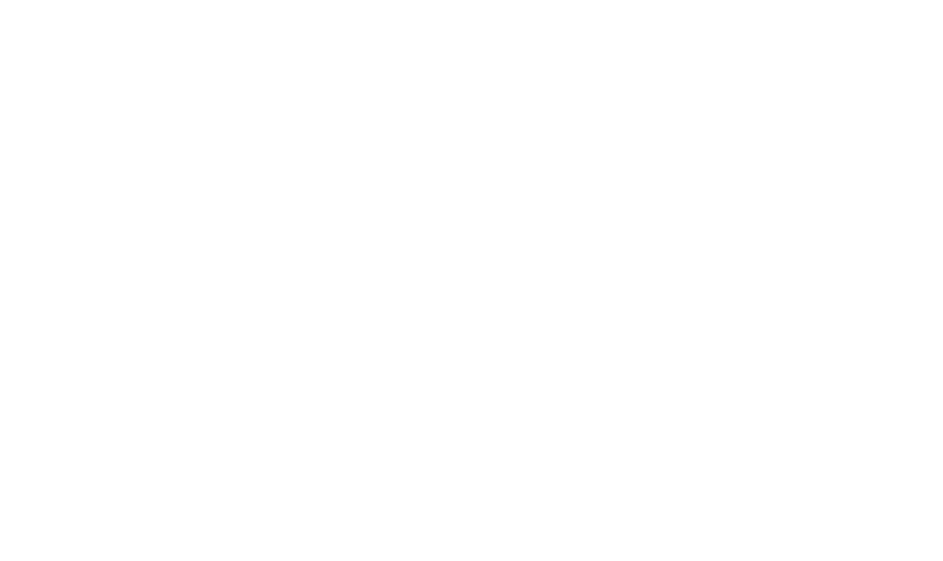 스노우 폭스2: 몬스터타운 구하기
