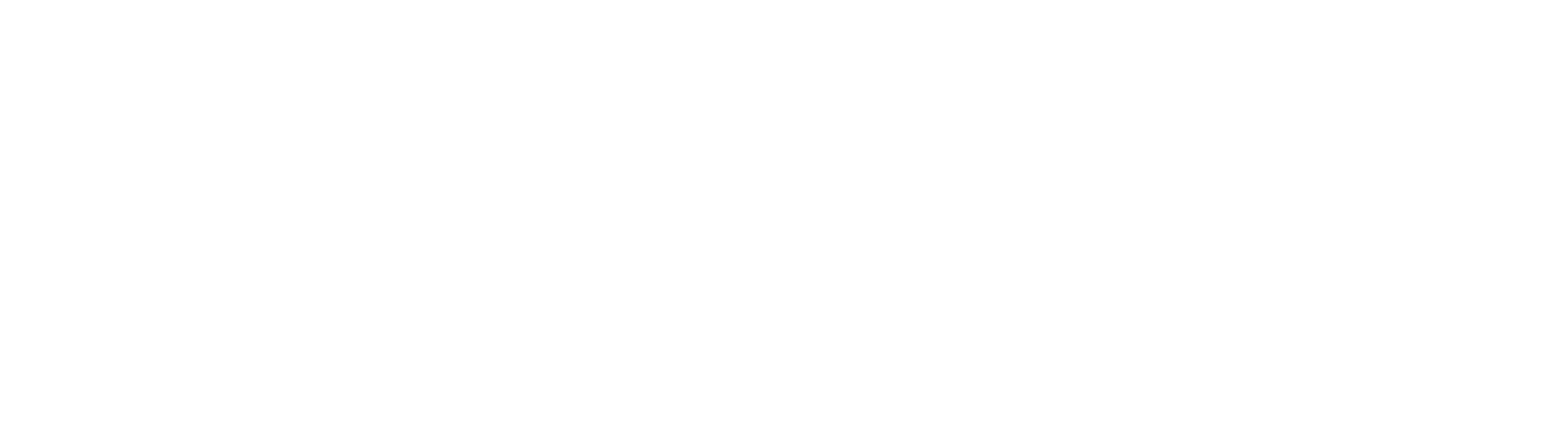 사일런트 위치 침묵의 마녀의 비밀