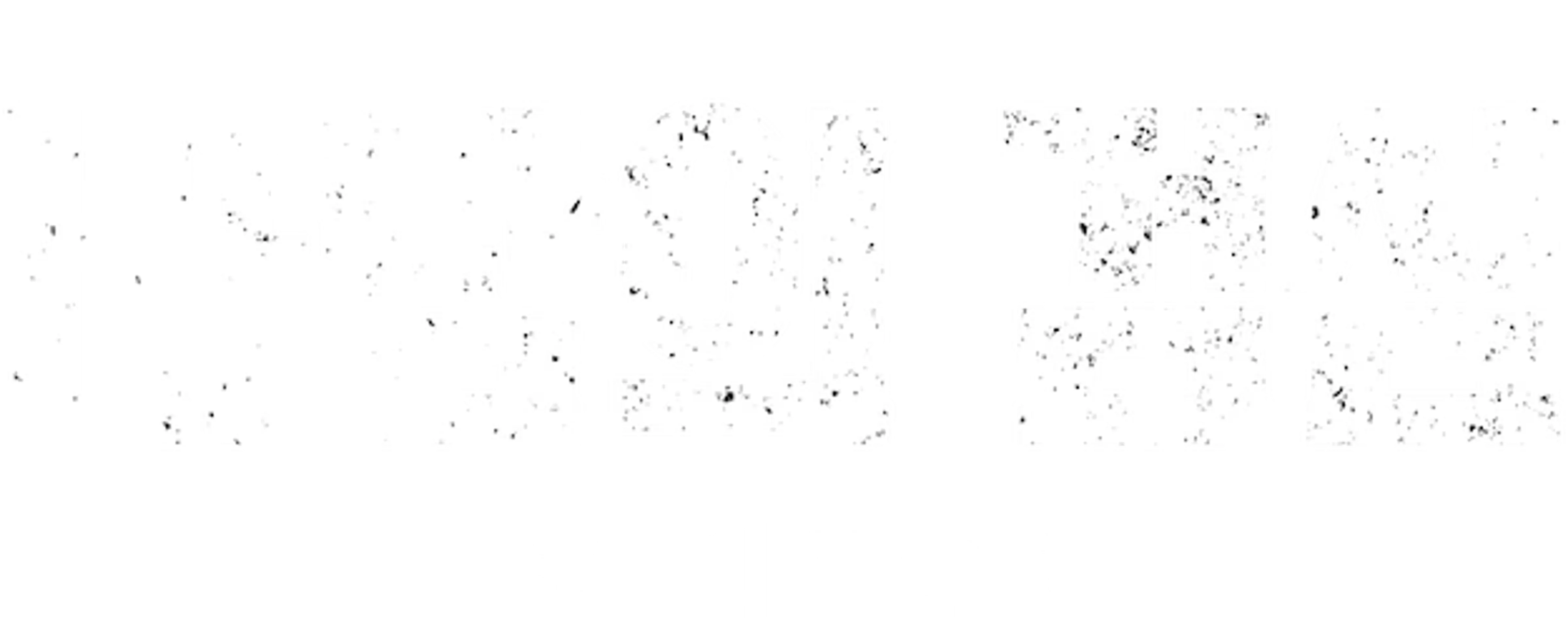 바람의 검심 : 전설의 최후편