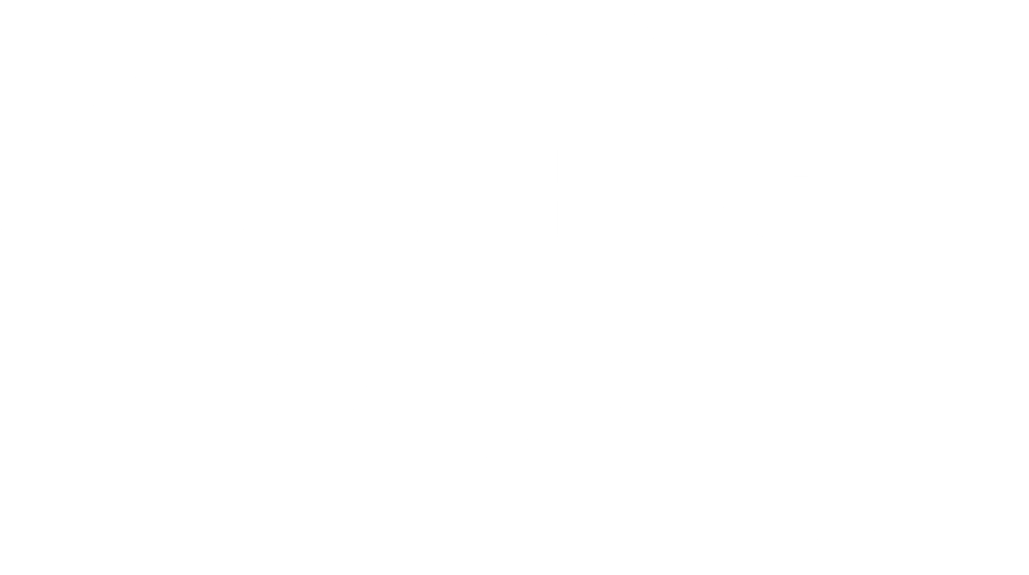 소리없는 추격자