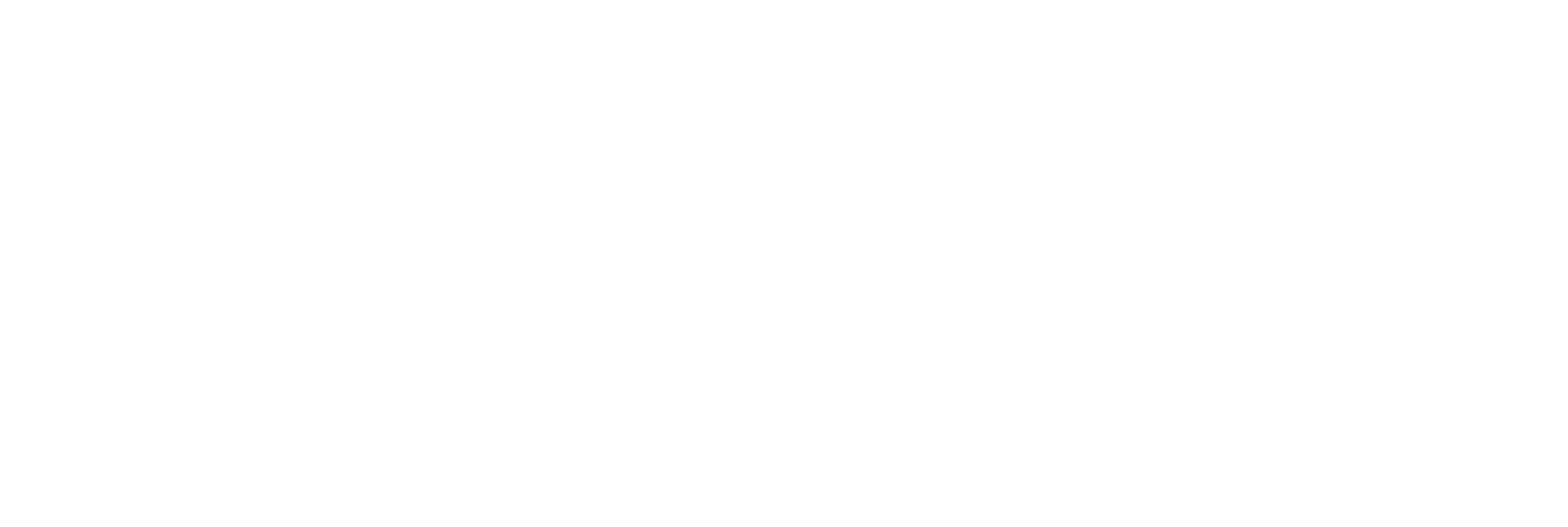 신세기 사이버 포뮬러