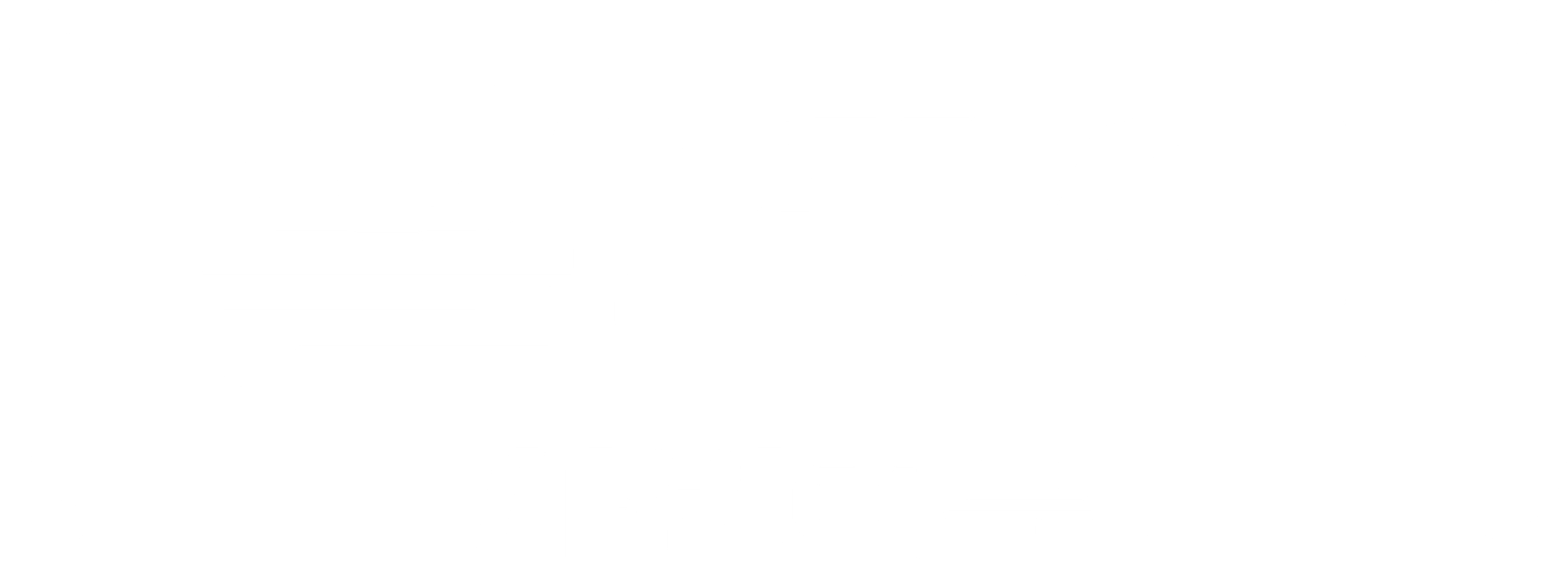 볼텍스: 차원의 문