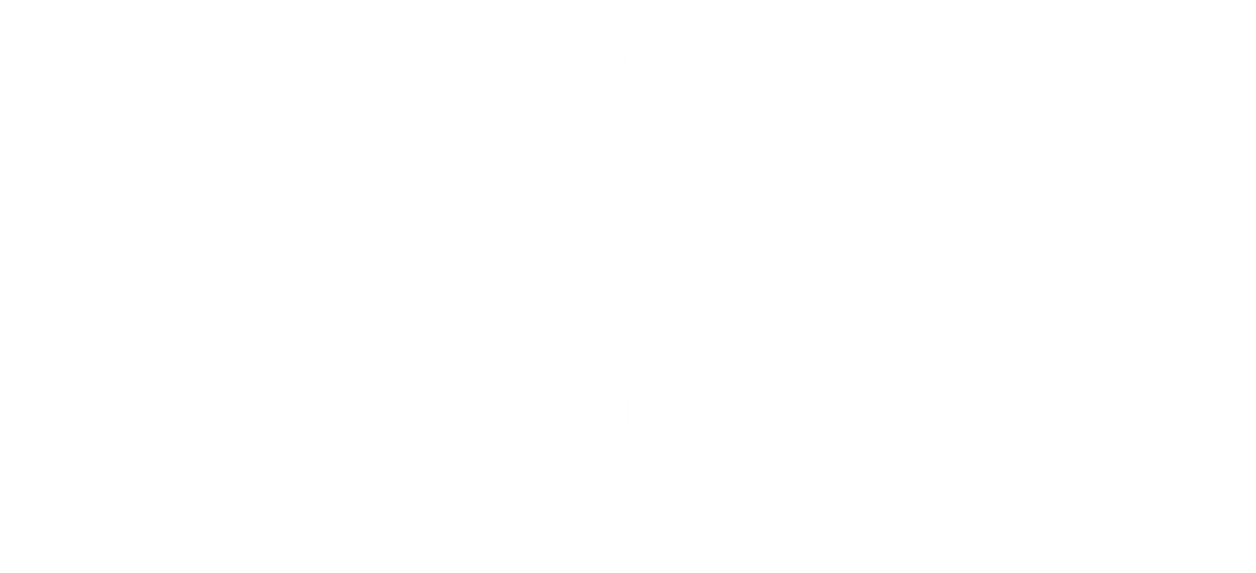 카고
