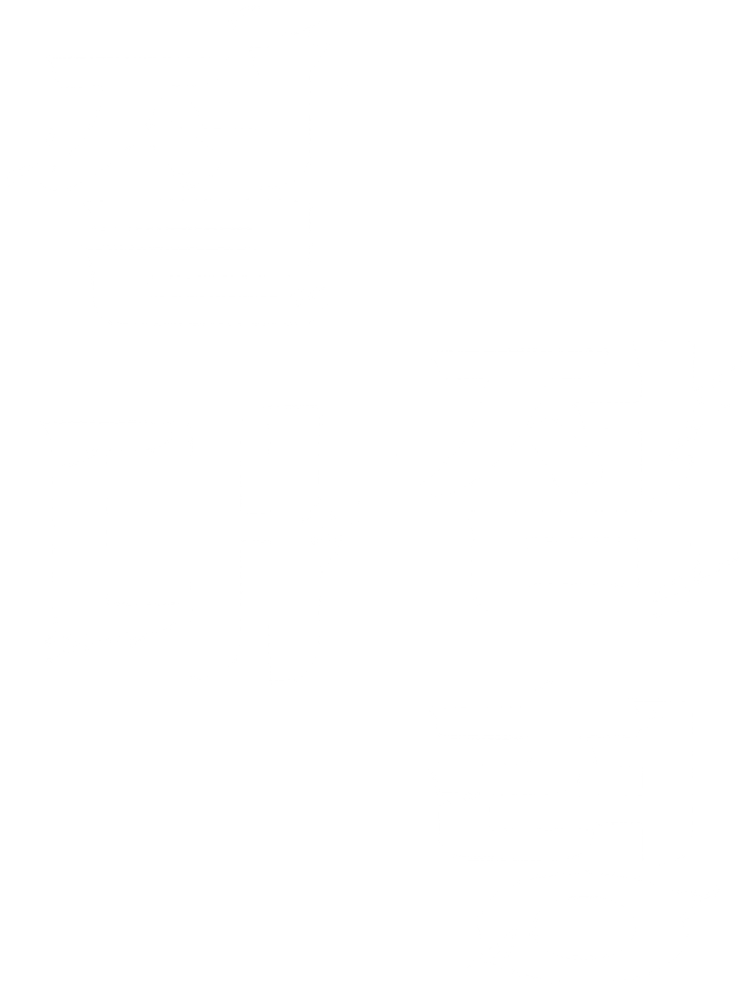 절대점령