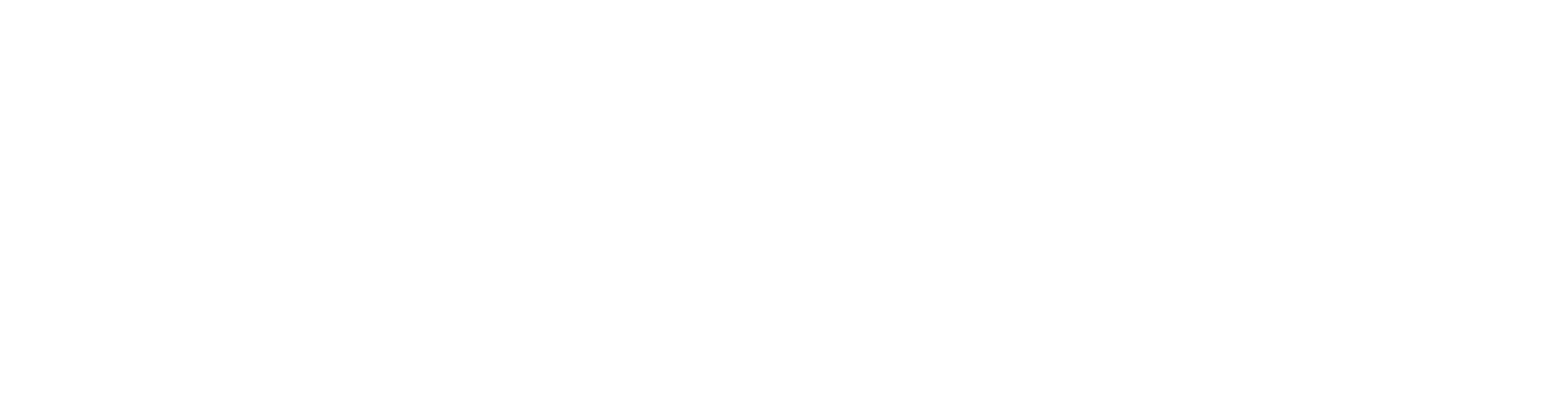 트랜스보이