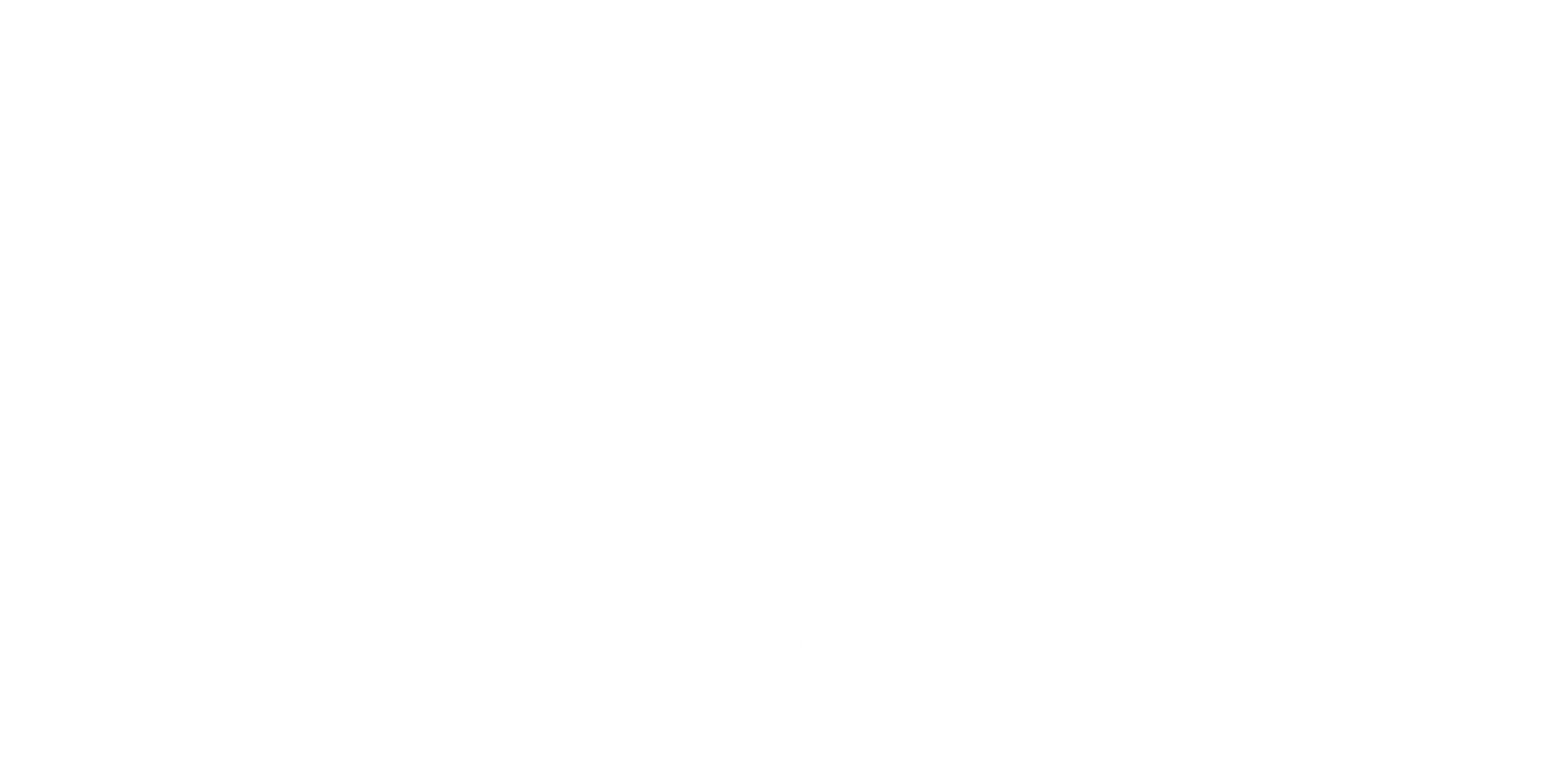 고양이 사무라이