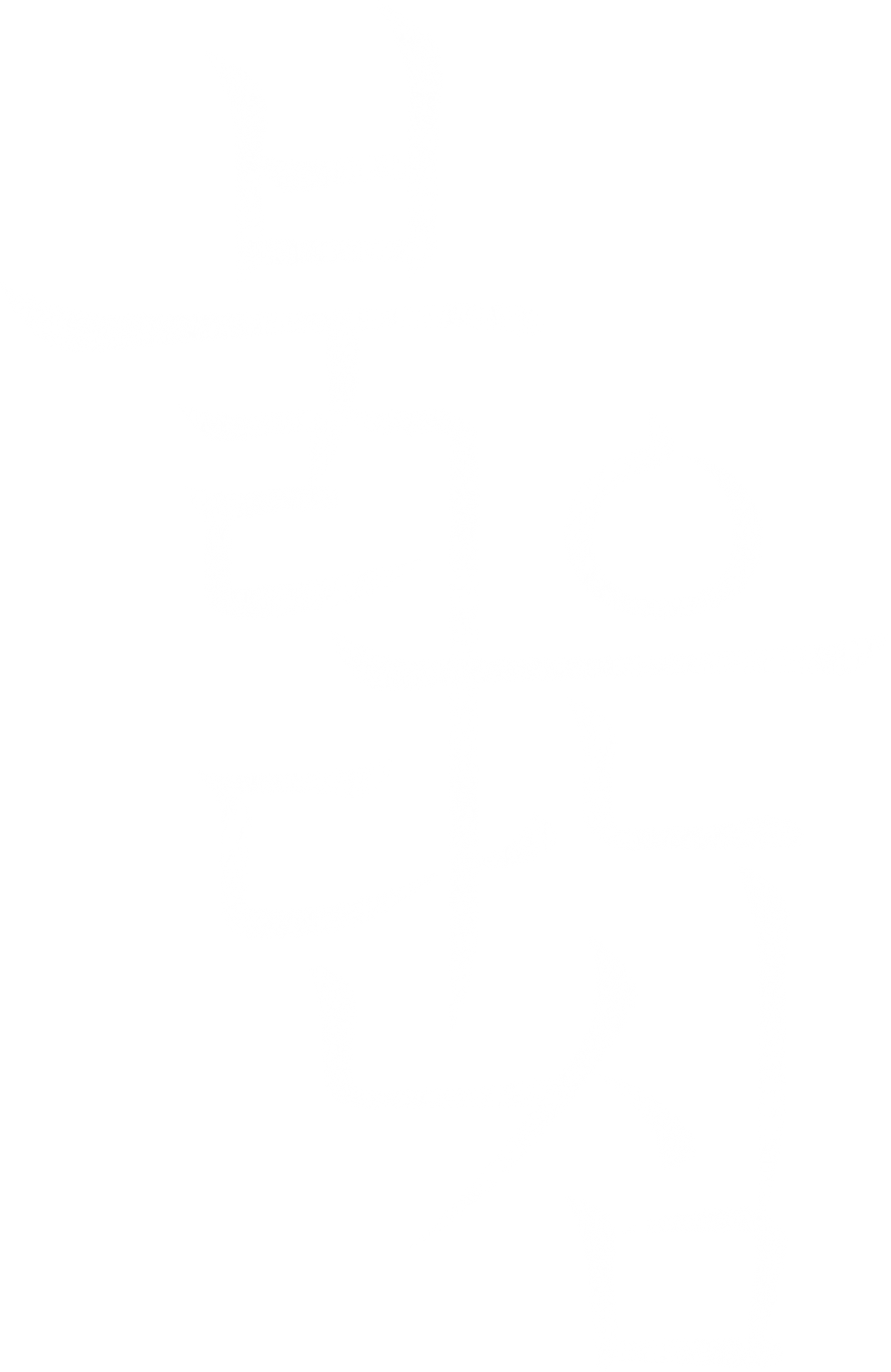 붉은 단심