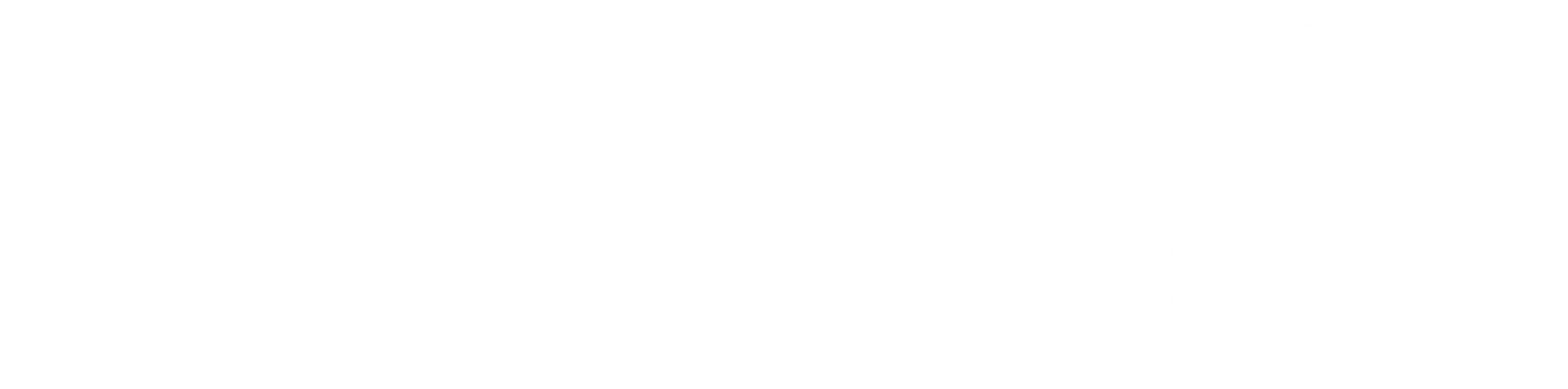 고령화 가족