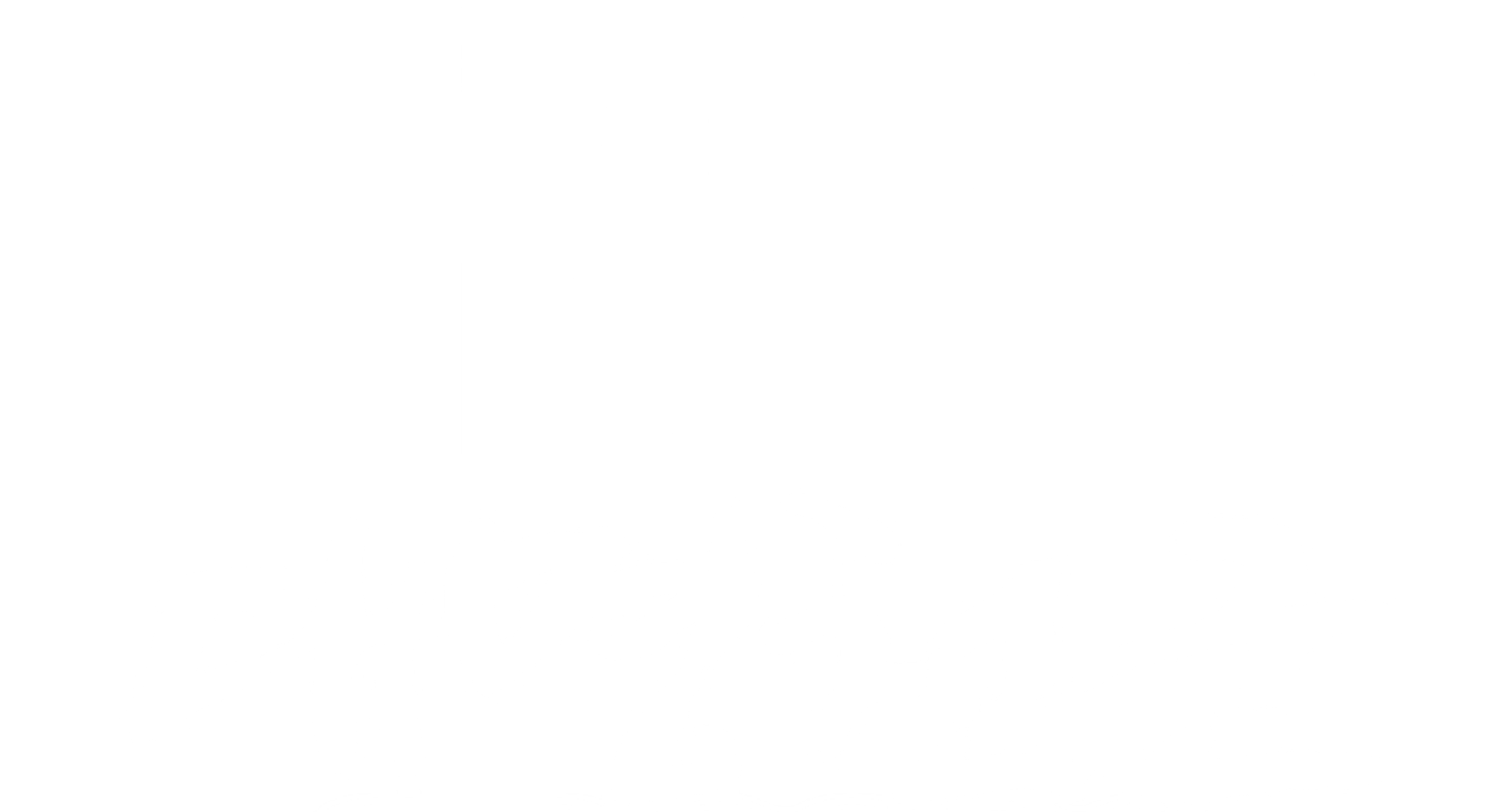 대명천군 금의위