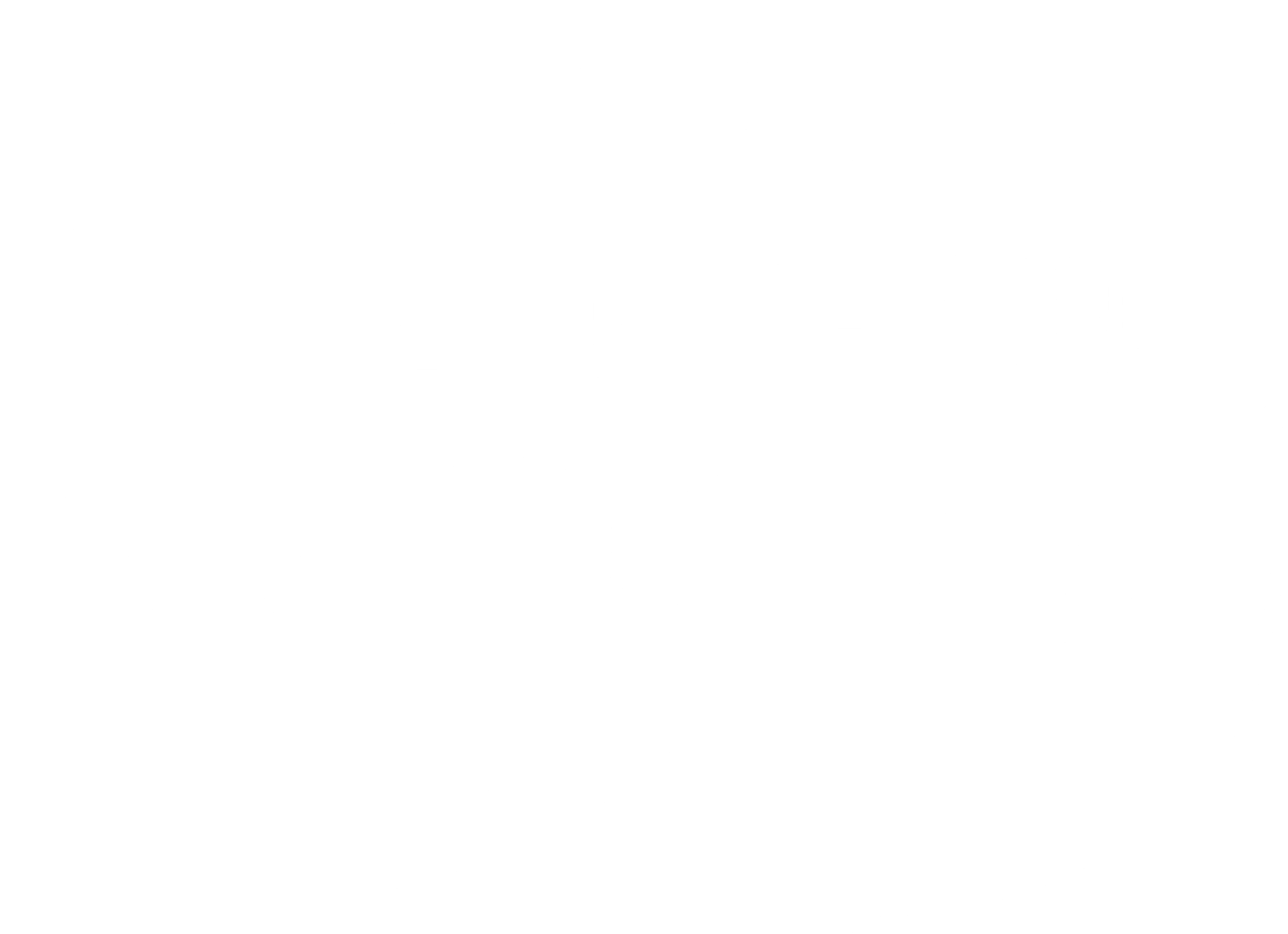 내 무릎위의 고양이 고양