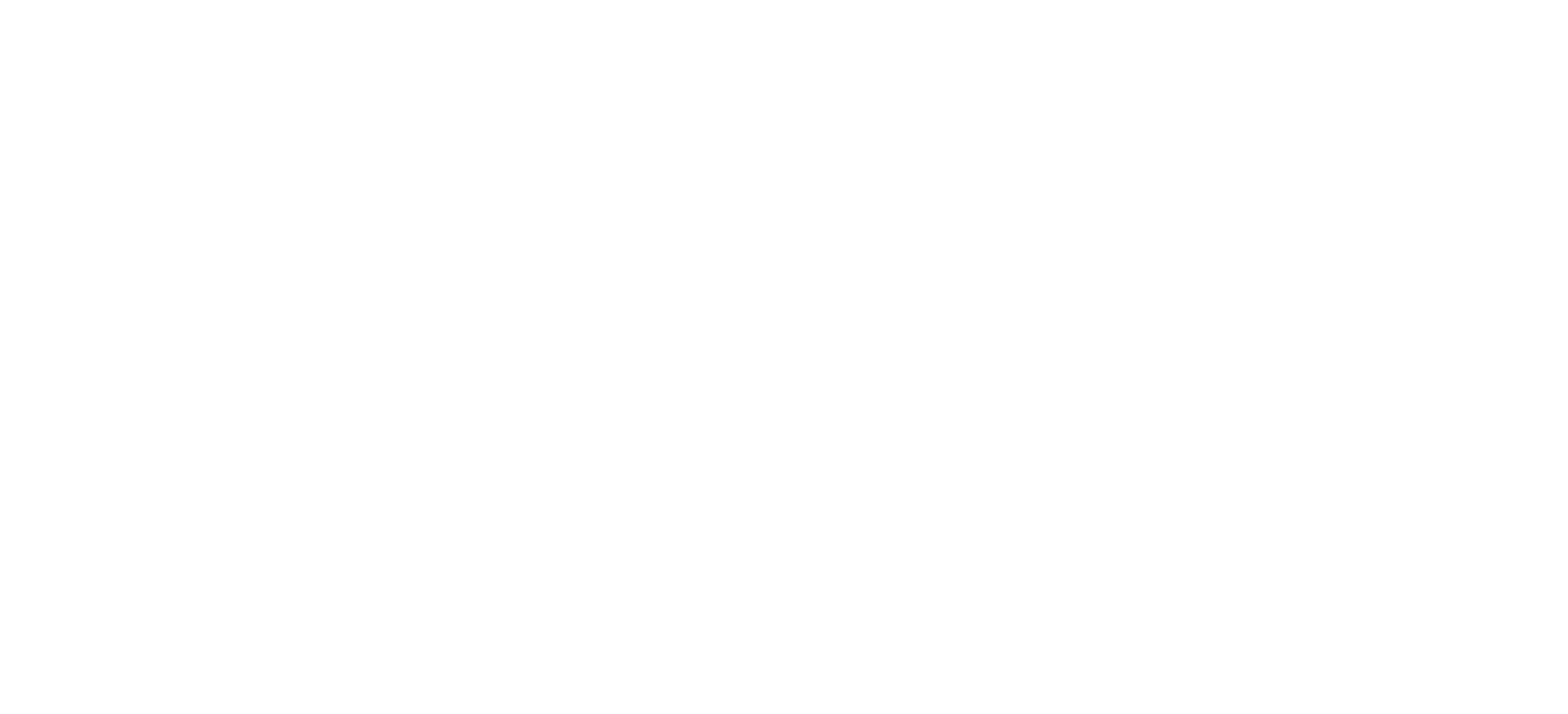 손오공 : 돌원숭이의 탄생