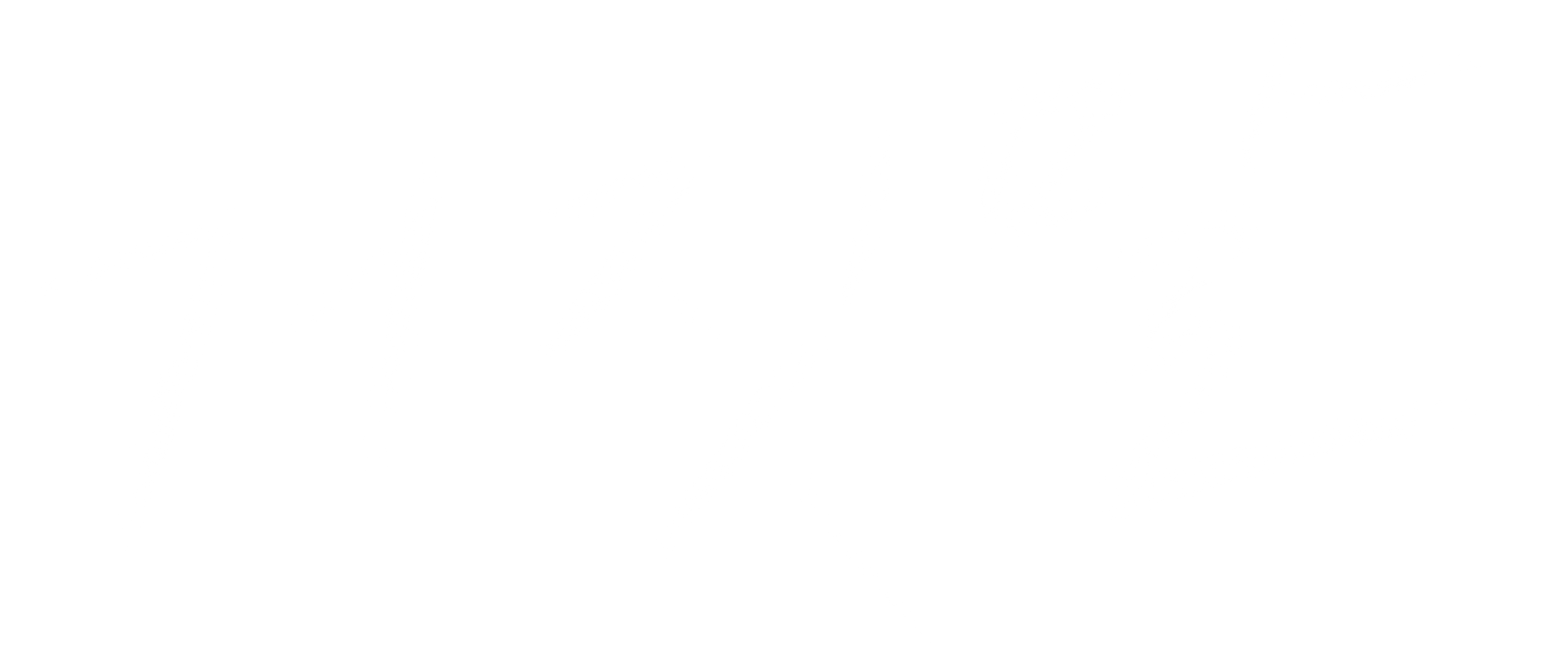 거짓말