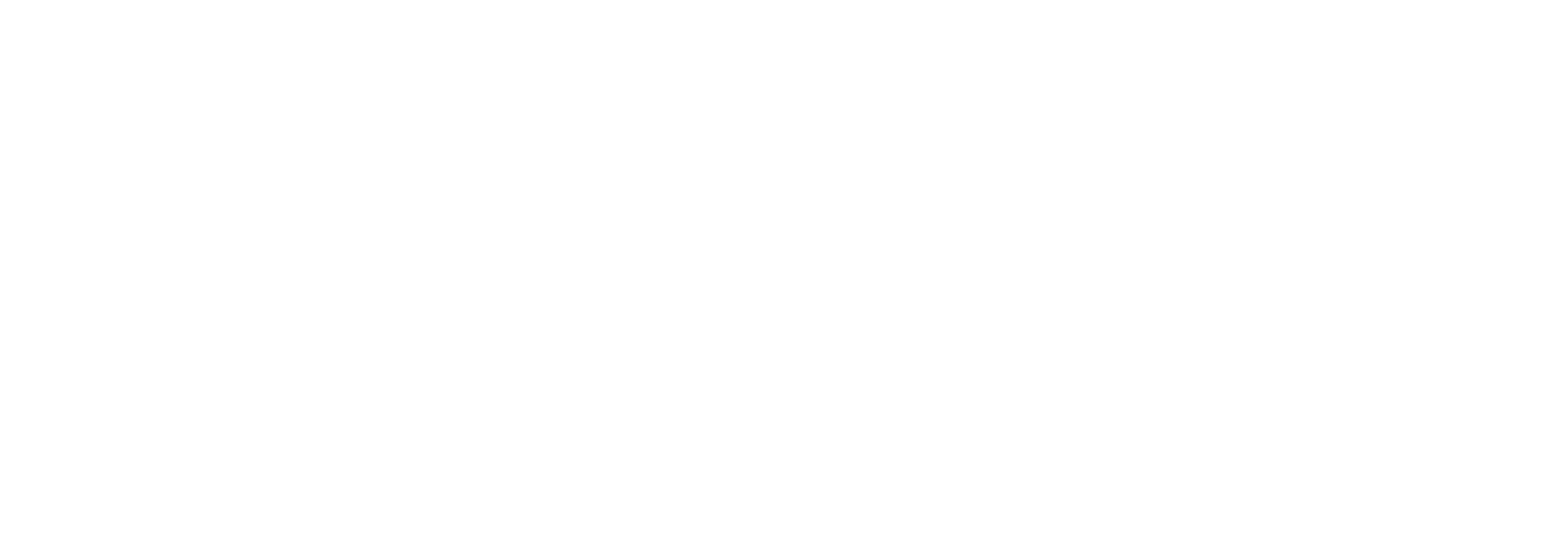 공모자들