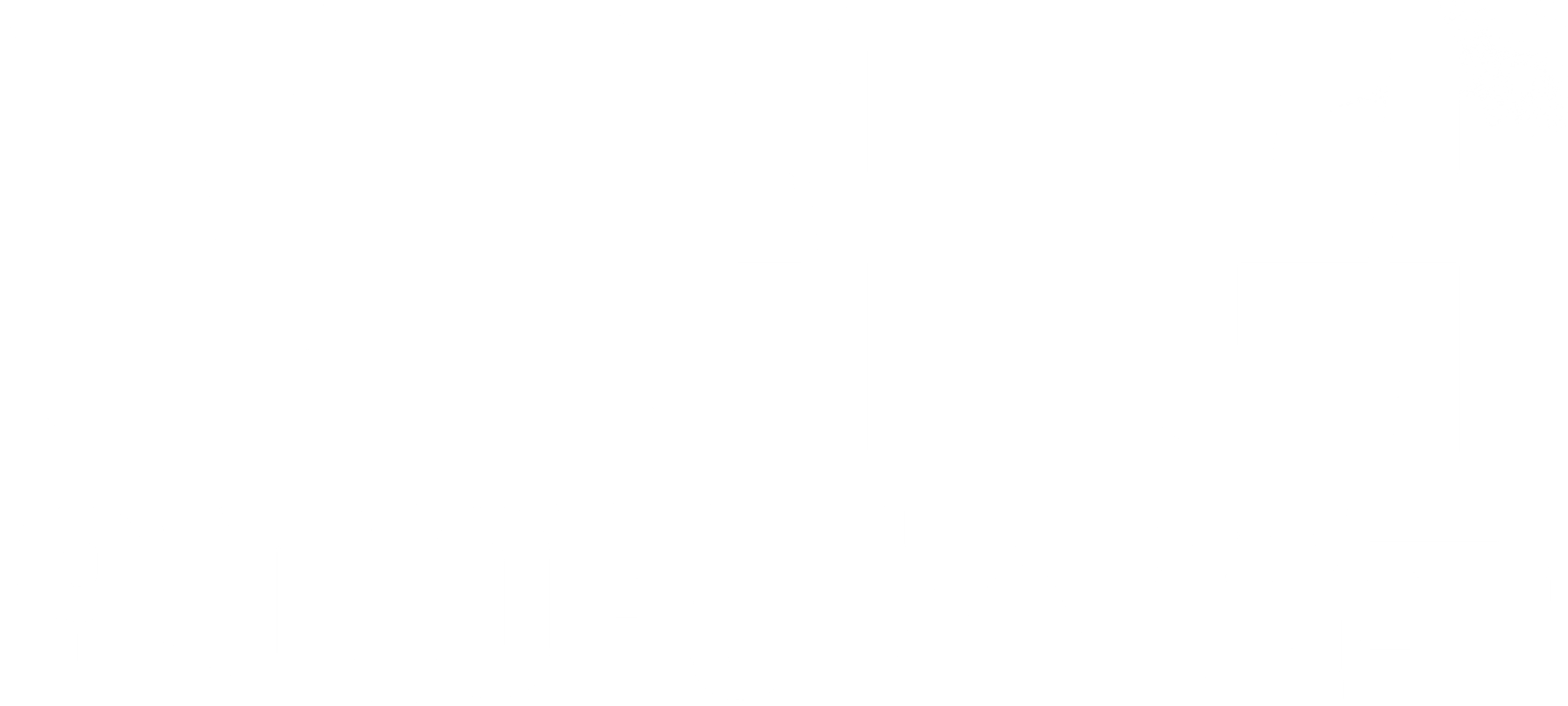 더 테러: 인디아 해즈 폴른