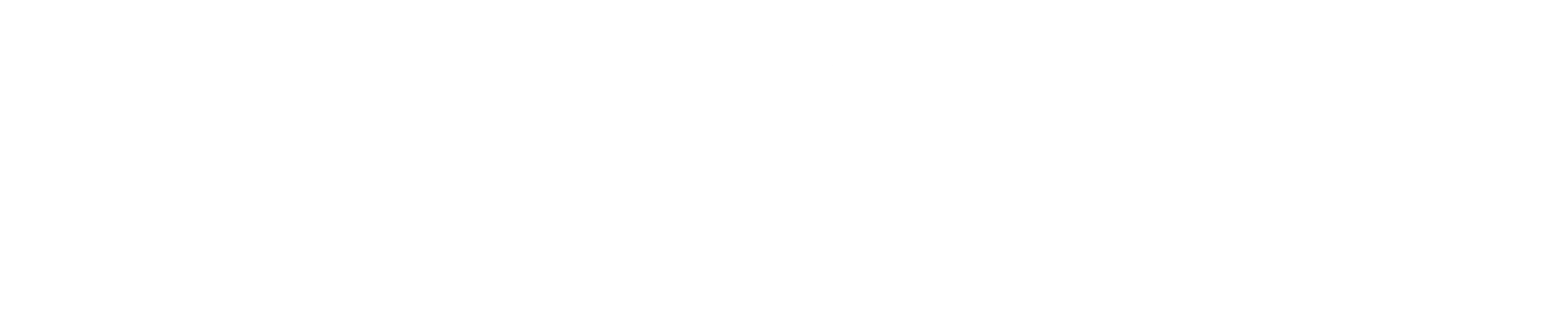 정화의 대항해