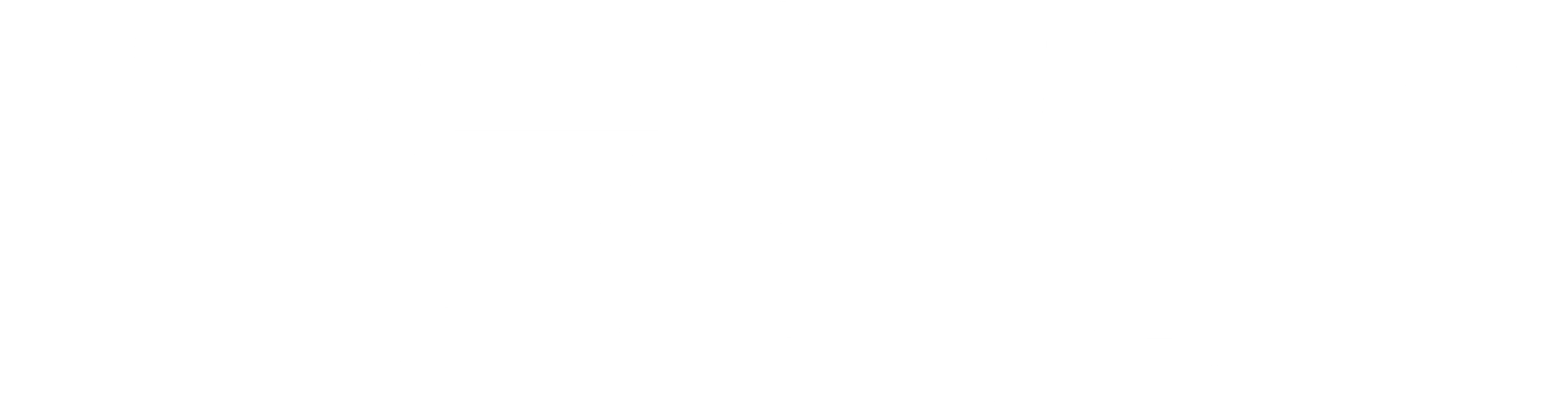 공자독총와장처: 스파이를 잡아라