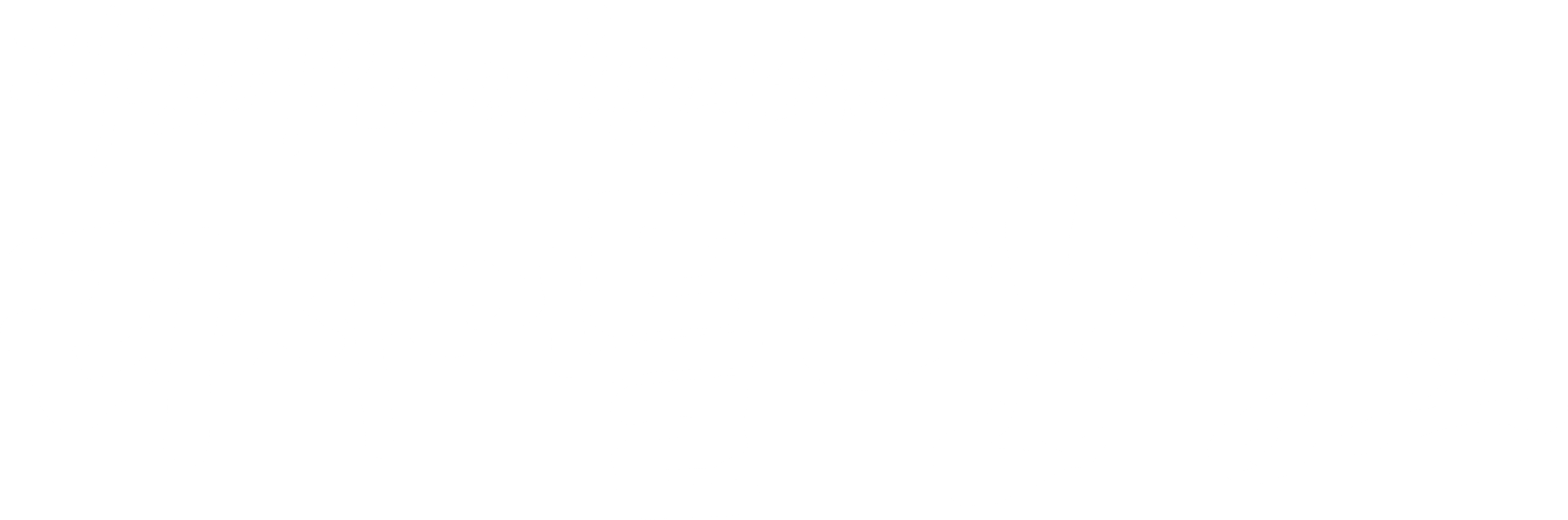 대한늬우스와 함께하는 리사이틀 인생쇼