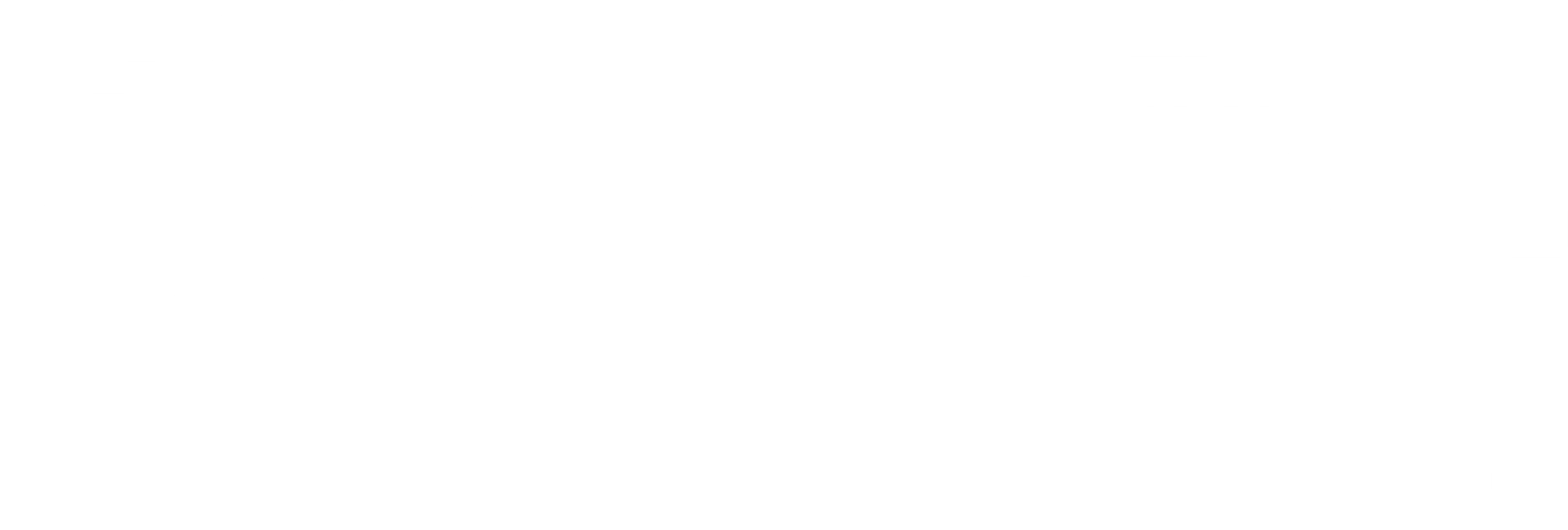 한 화가