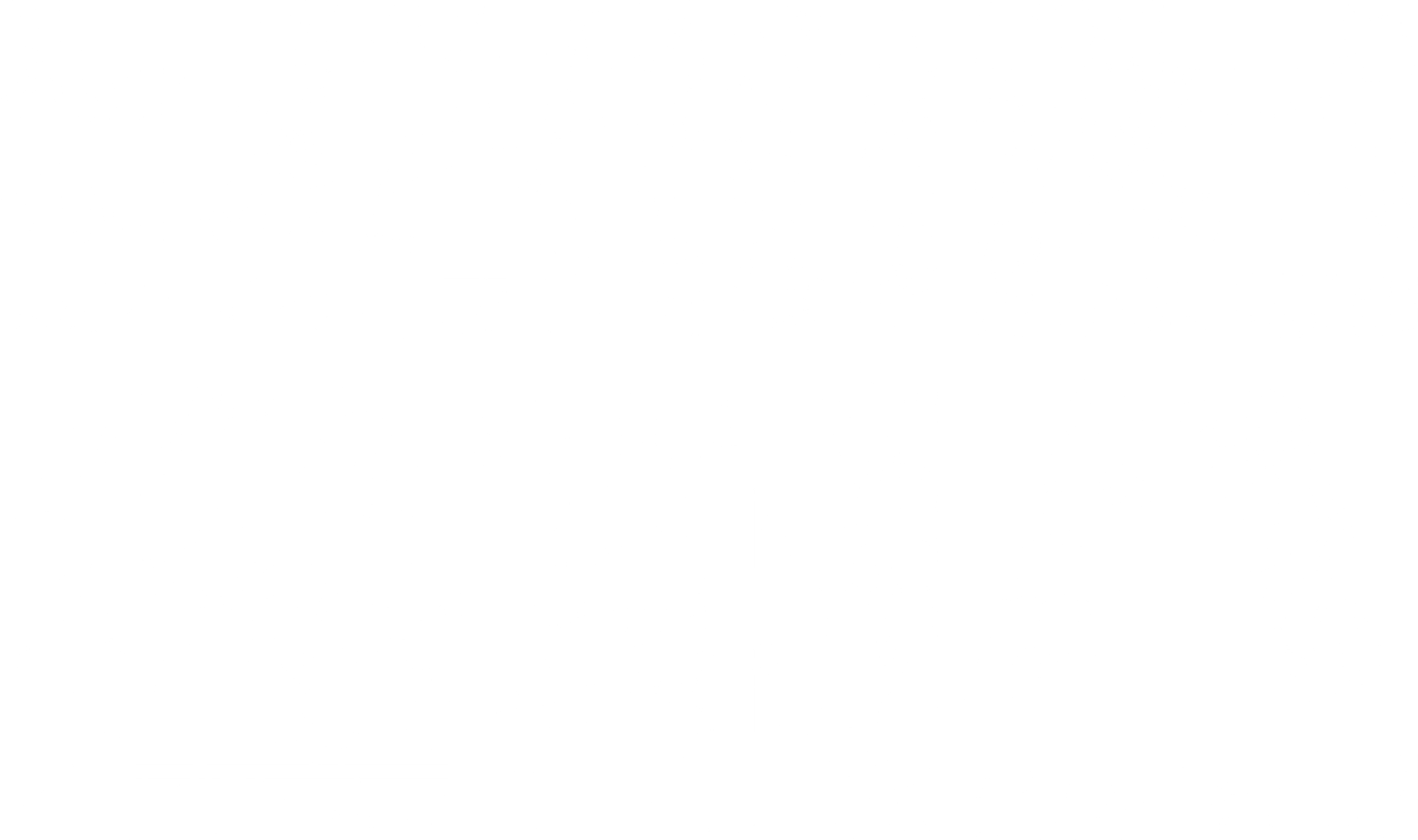 브레이브 솔져스