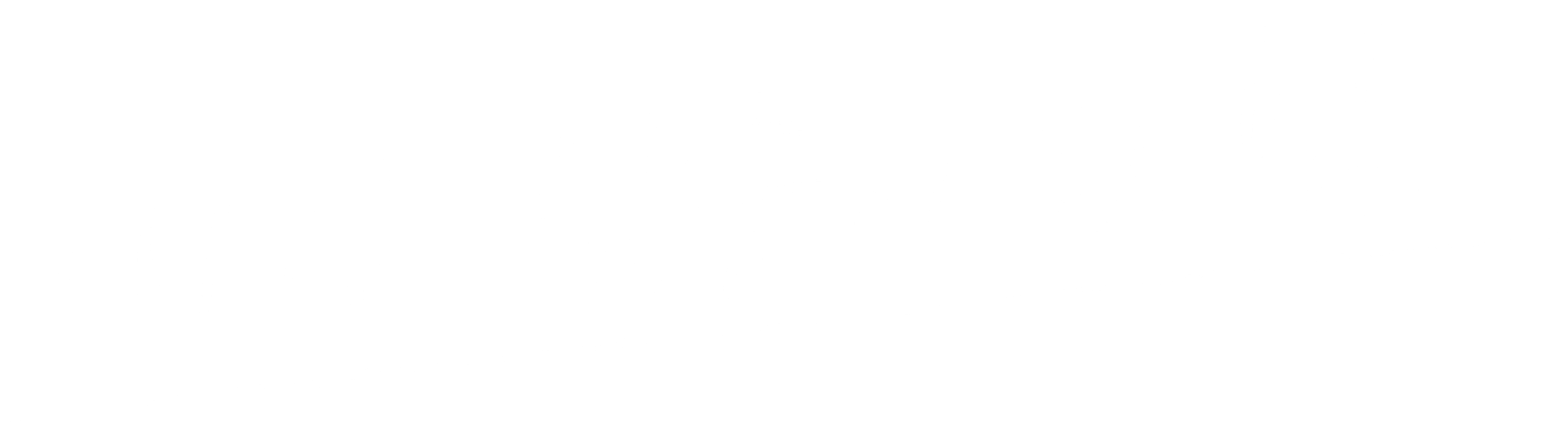 내가 짐승이 된 밤
