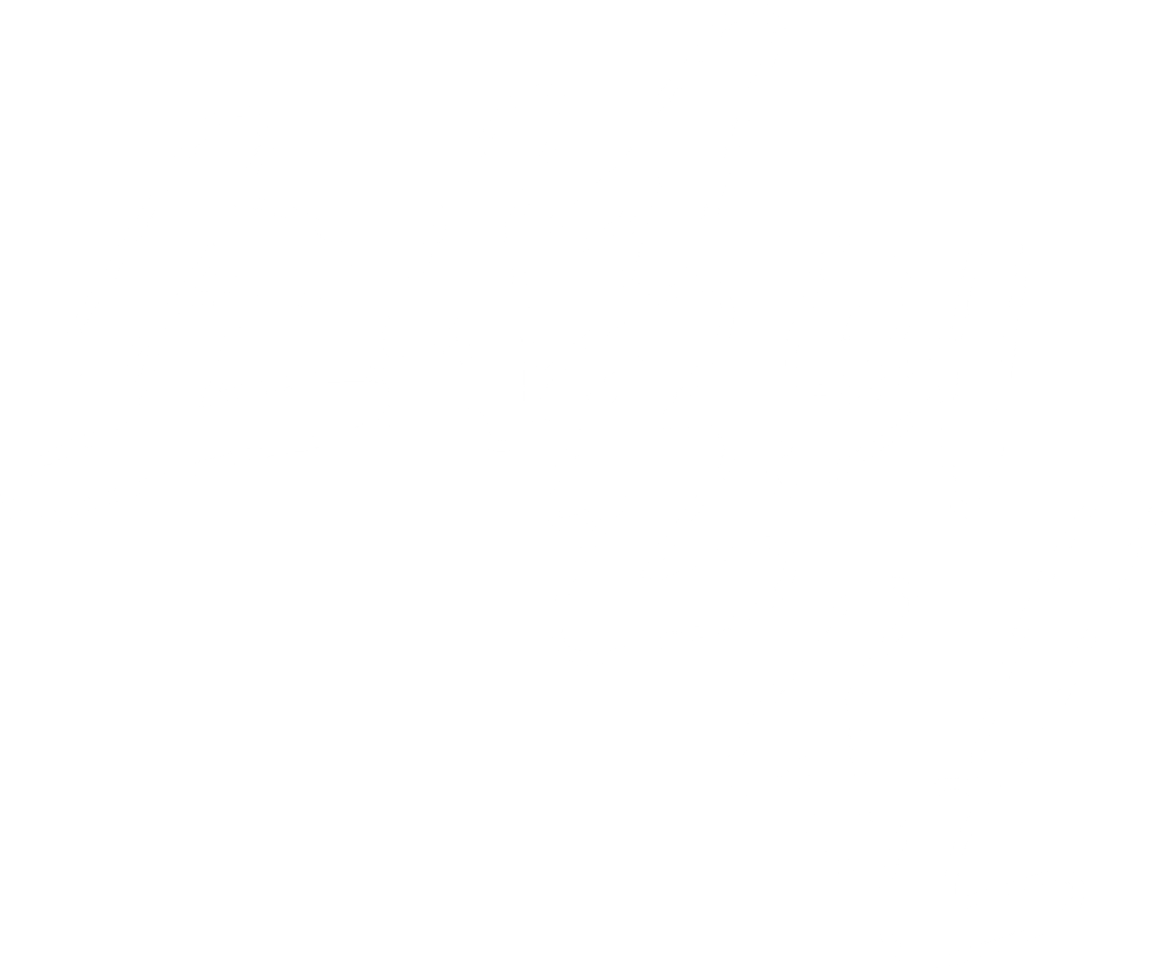 소설의 신