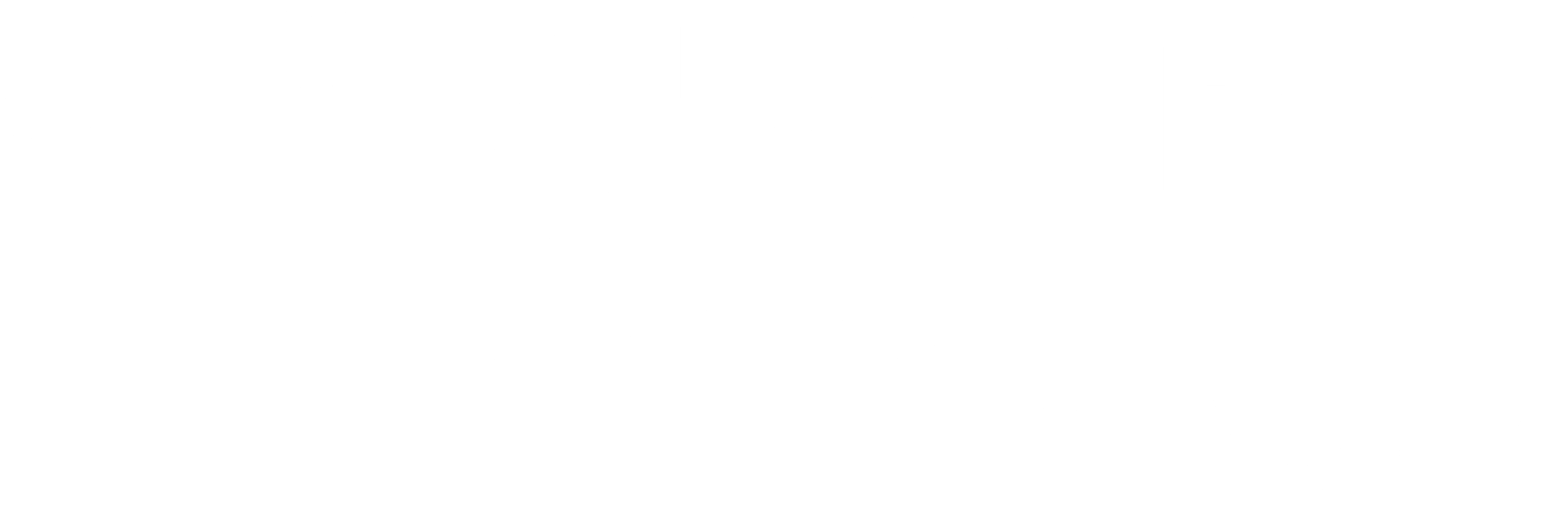크리스마스 두-오버