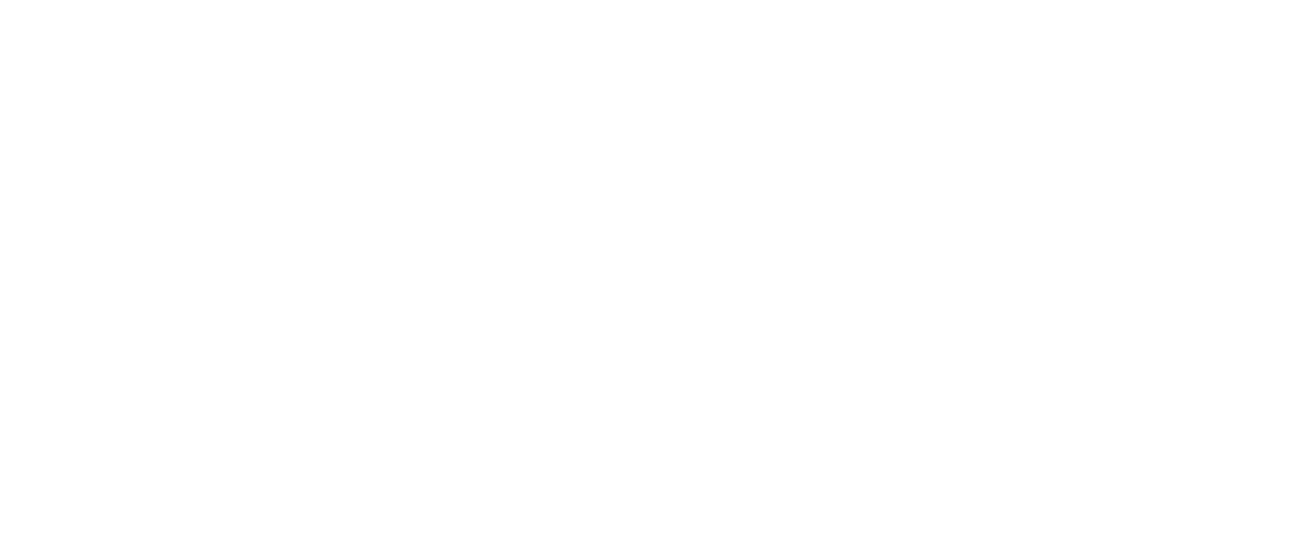 코인비저블: 보이지 않는 돈