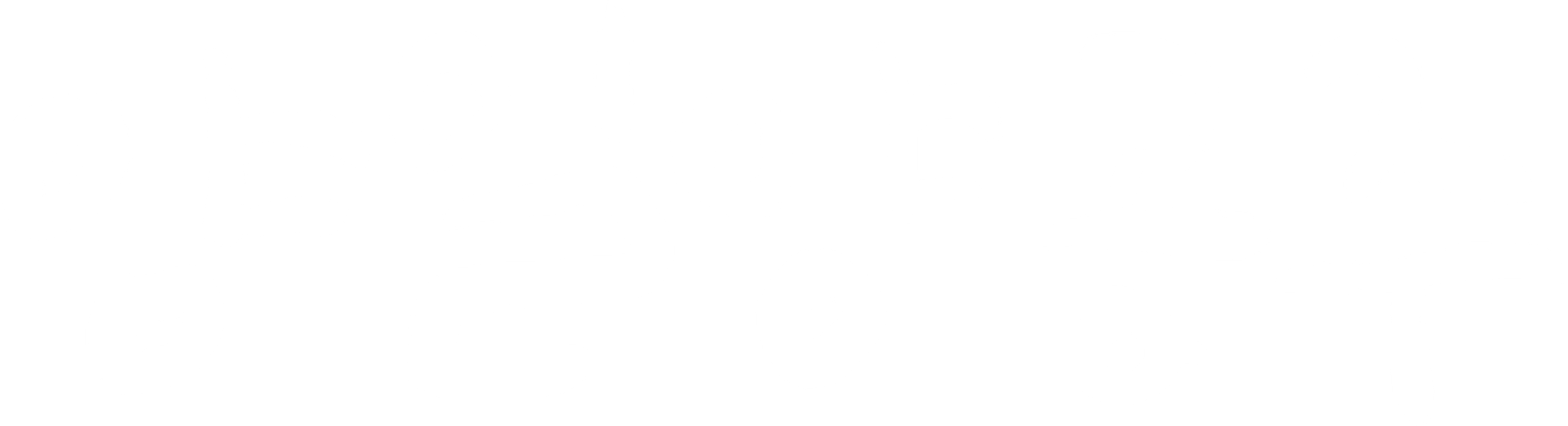 양일양공주