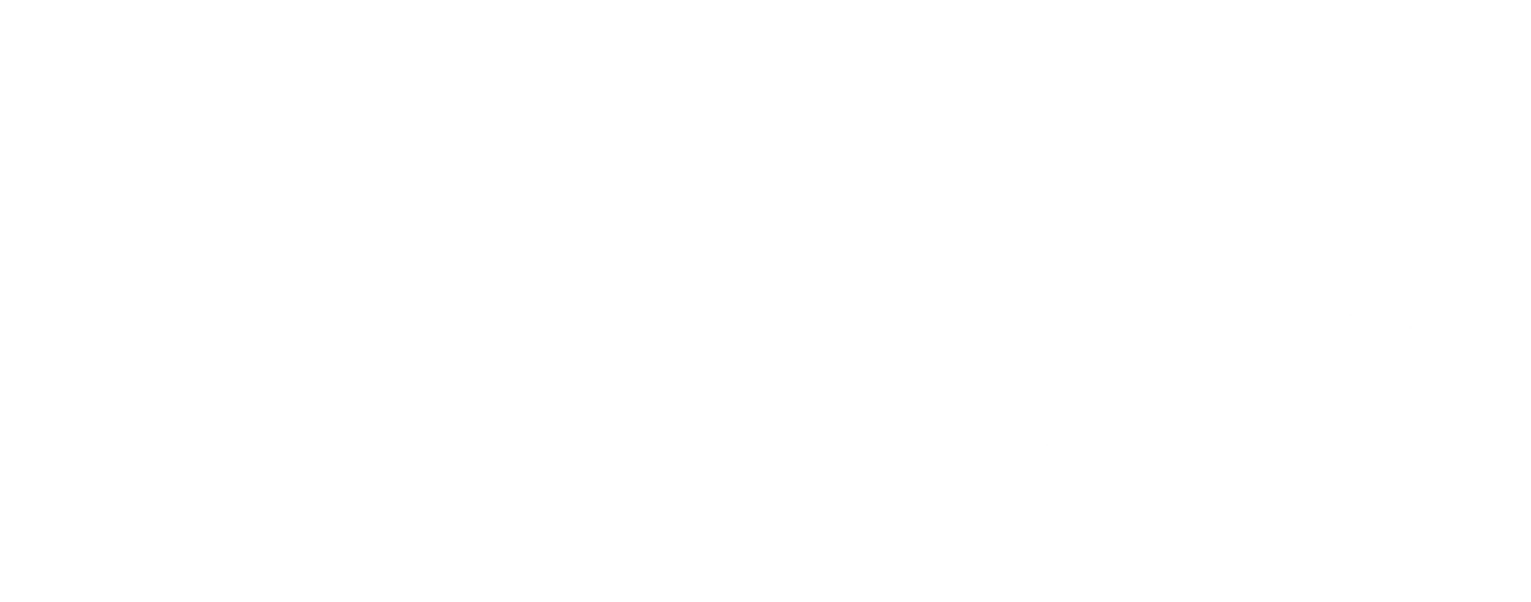 아라한 장풍대작전