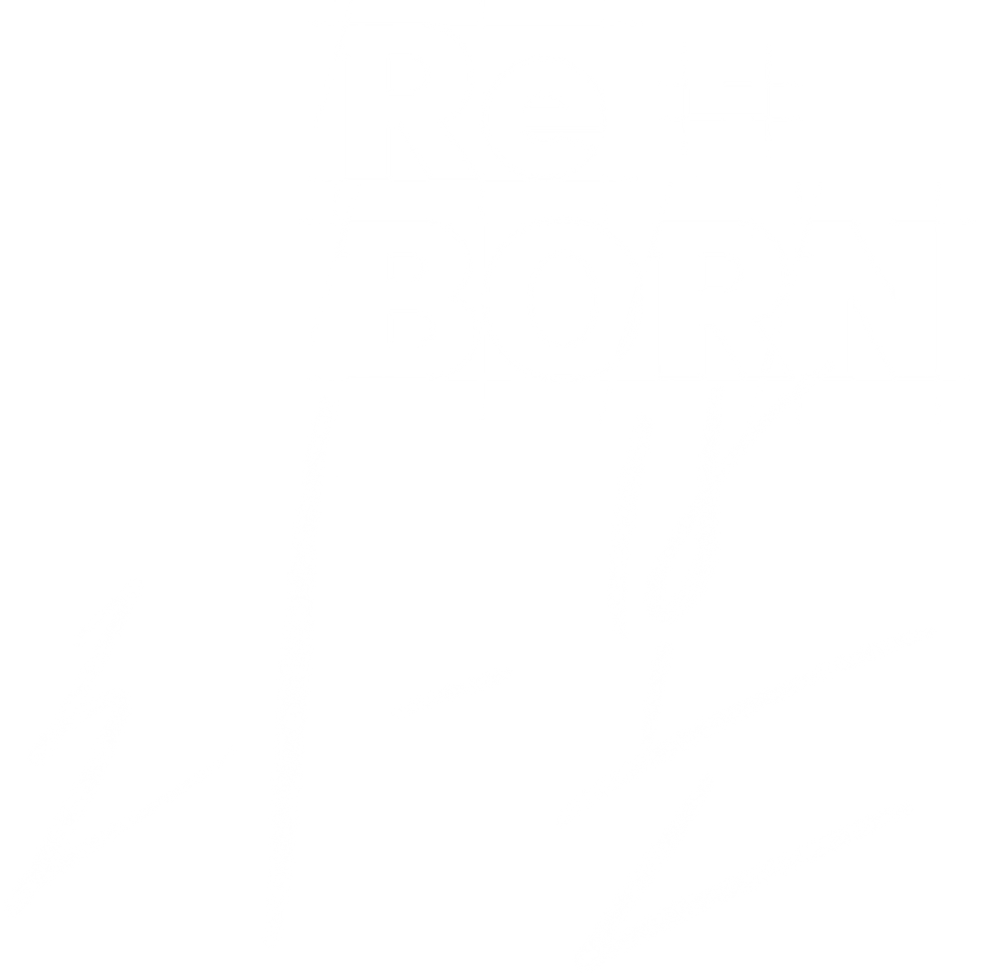 Re-BORN(๋ฆฌ-๋ณธ)