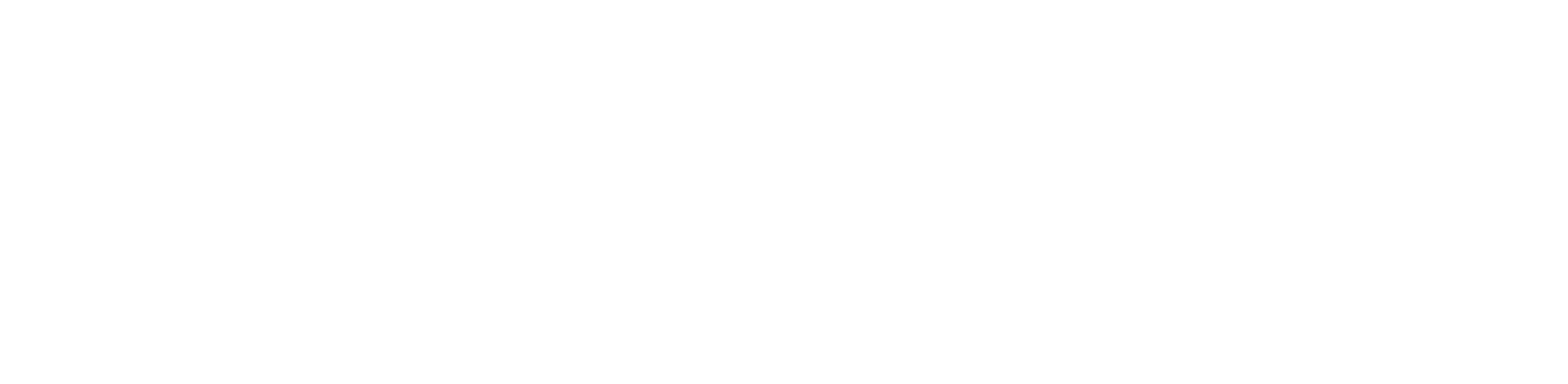 부기나이트