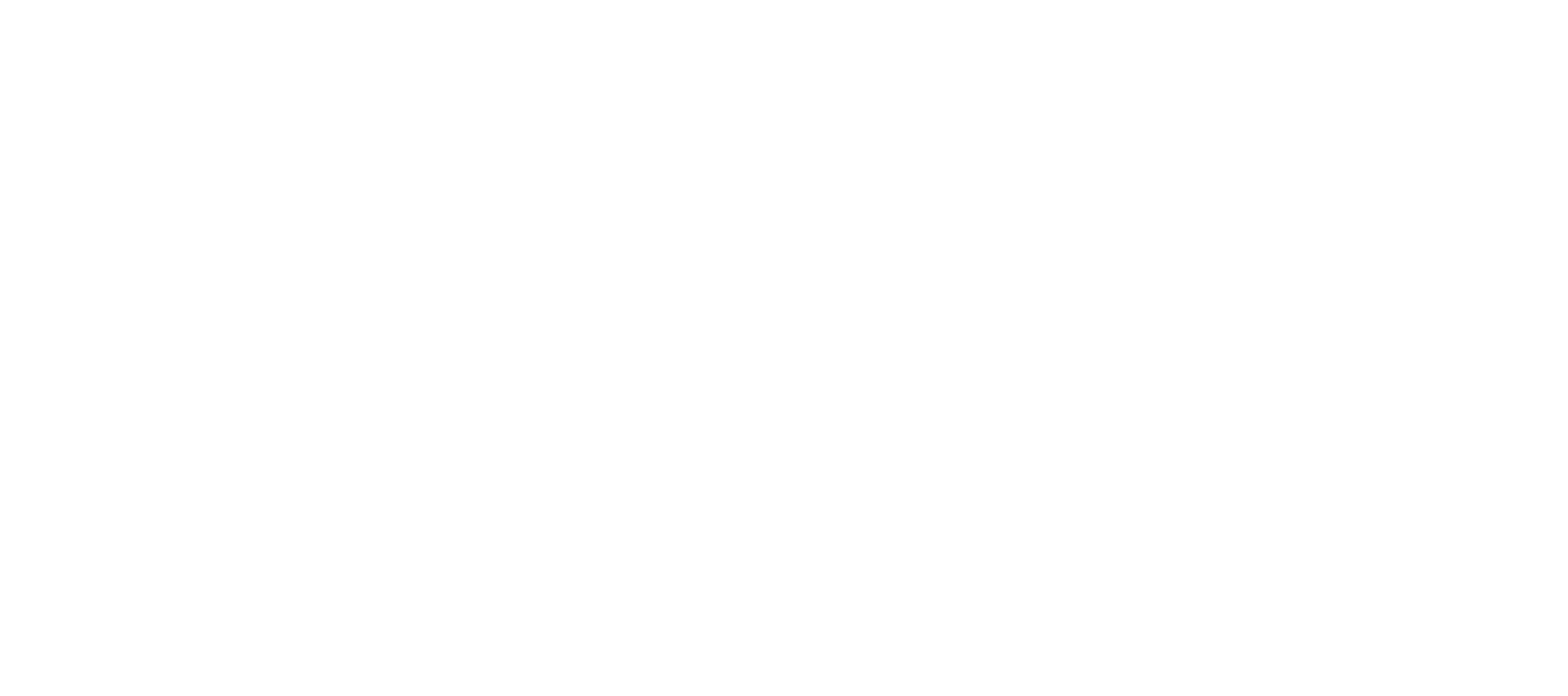 초한지: 천하대전 (감독판)