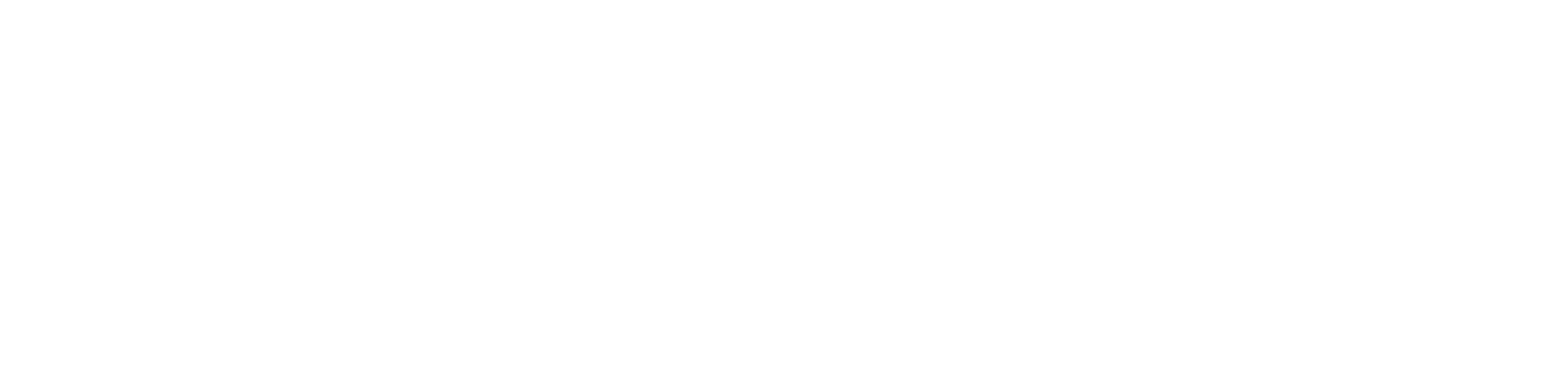 더 게스트