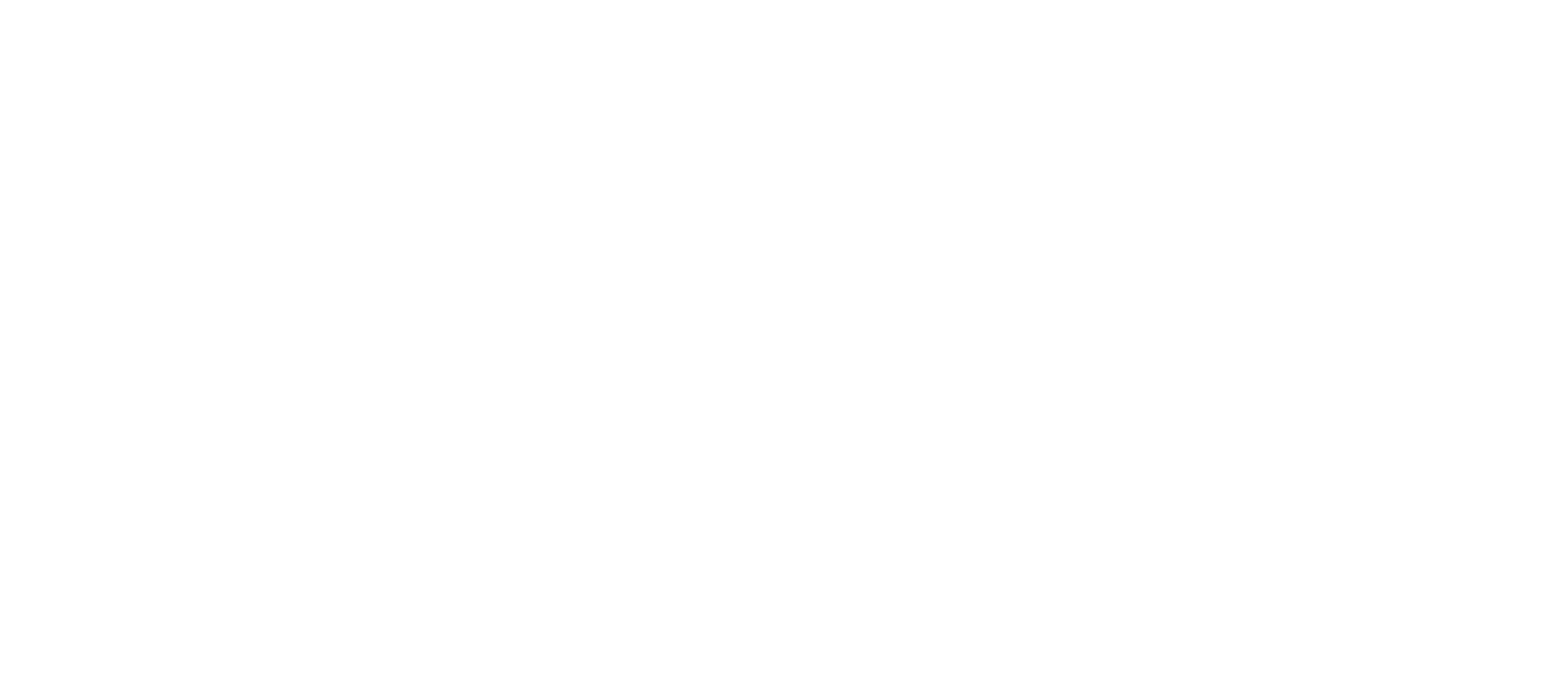 니돈내산 독박투어	 4