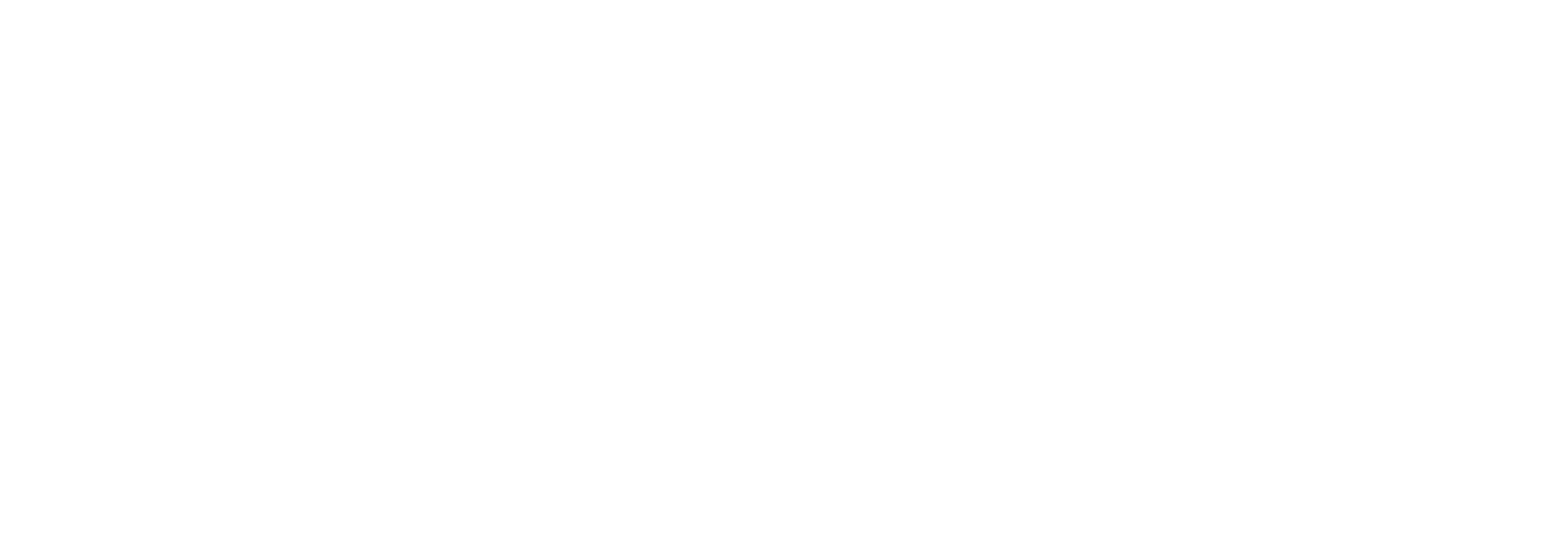 느린 걸음