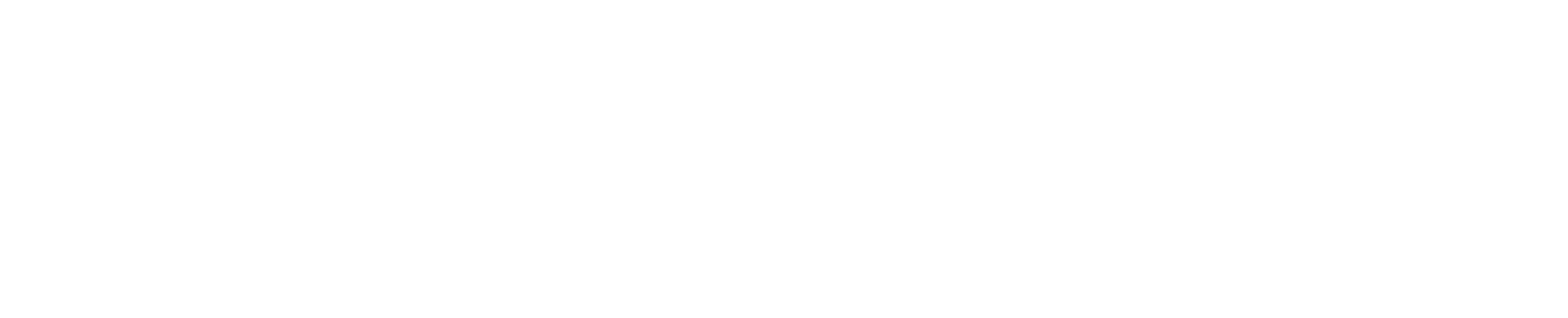노크 노크
