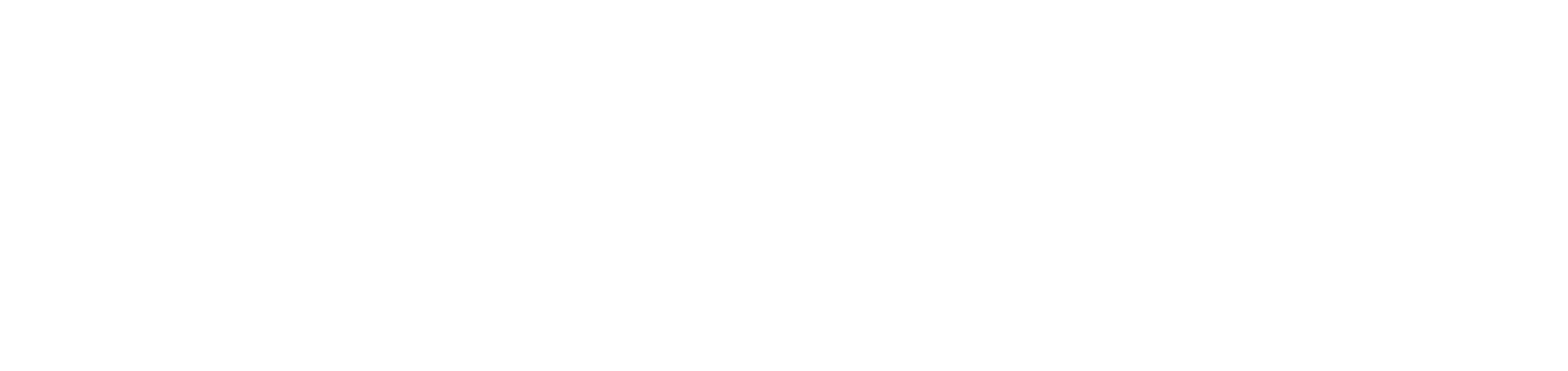 팡파레가 울려퍼지다
