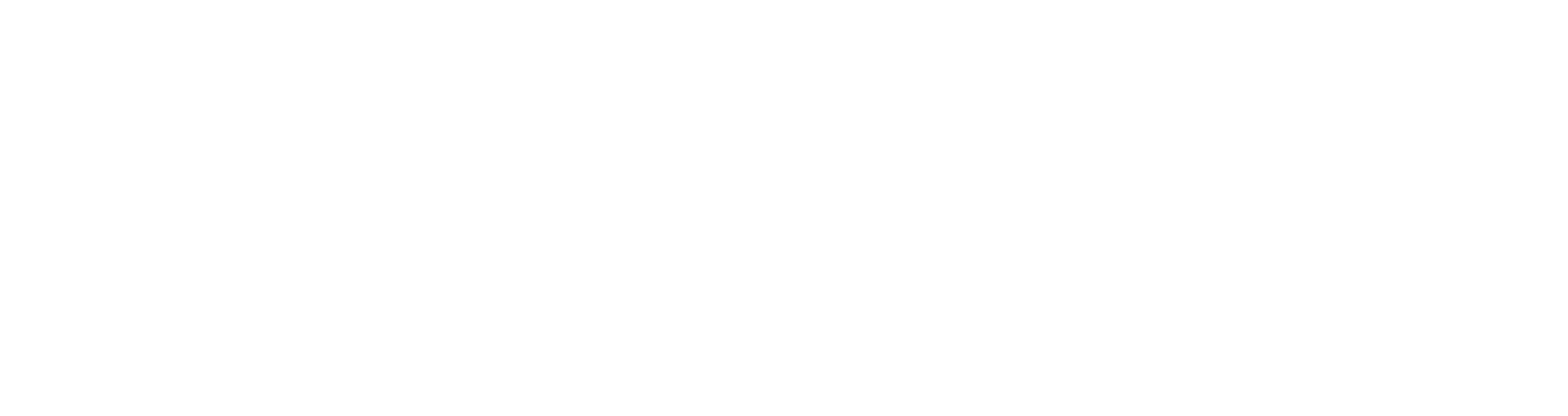 몬스터 하우스2: 인비져블 피닉스