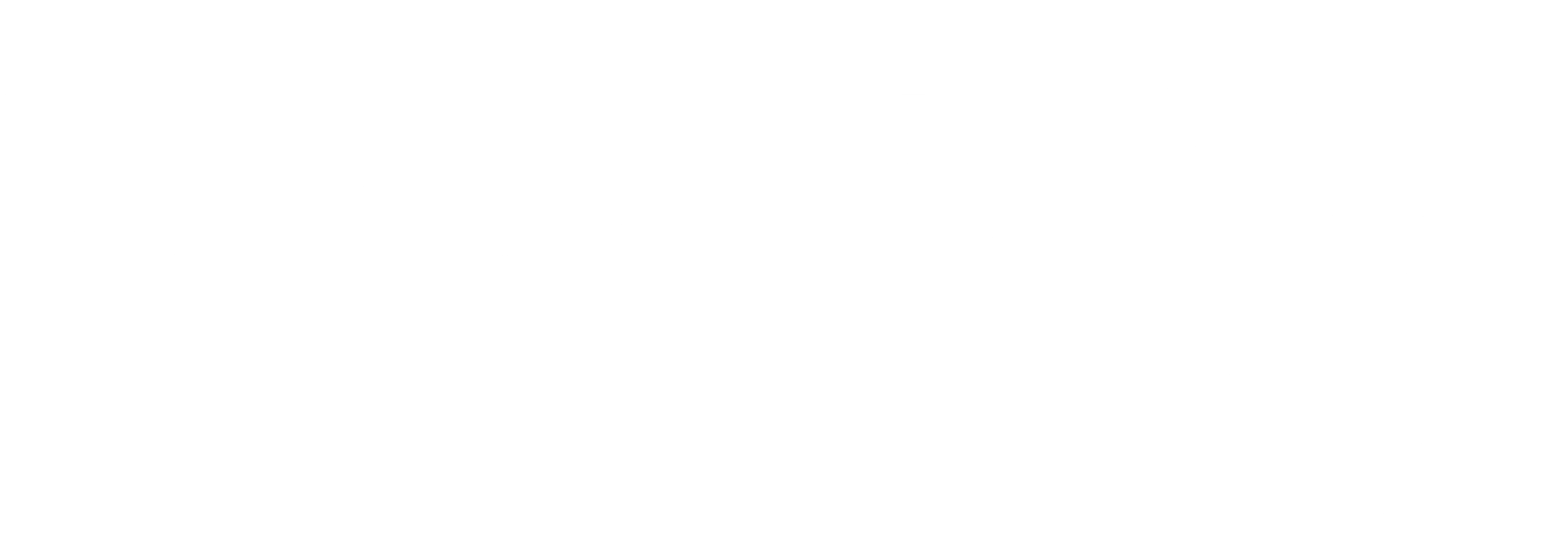 파괴자들