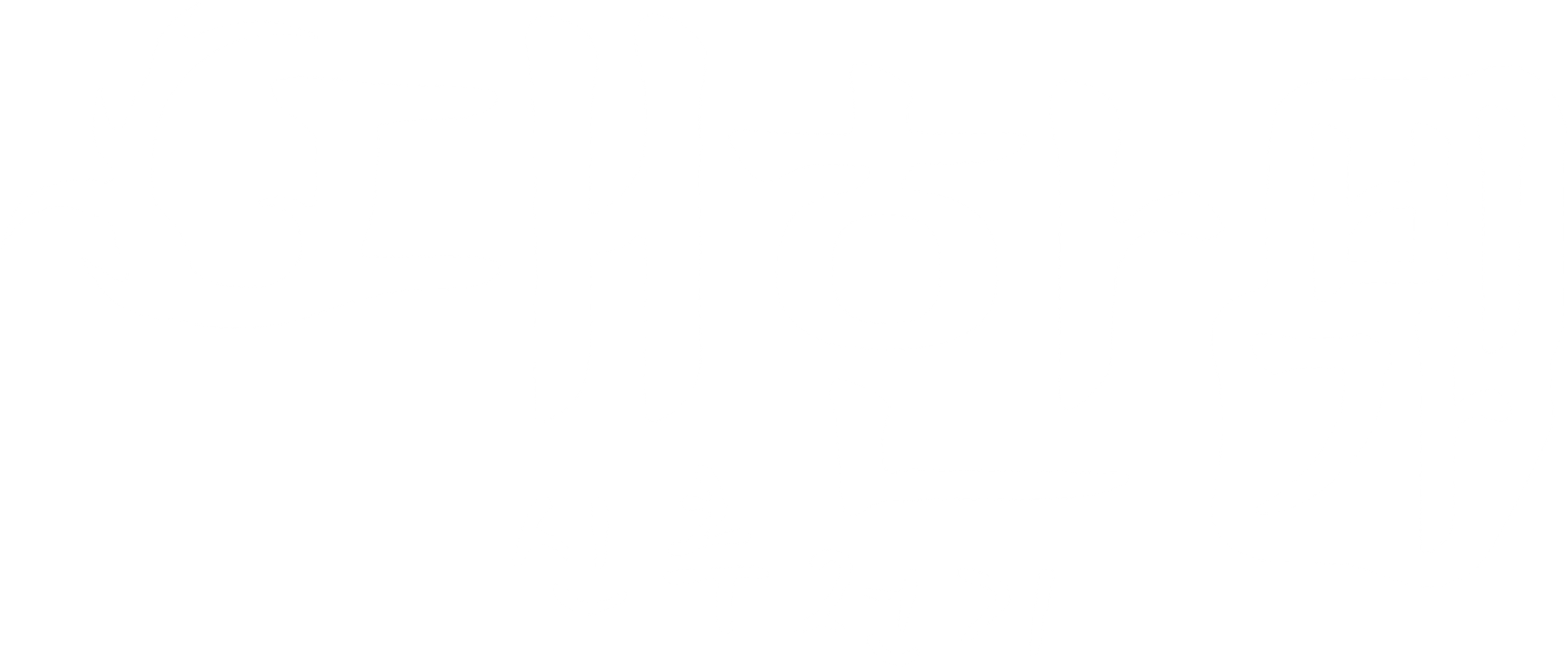 대한비가