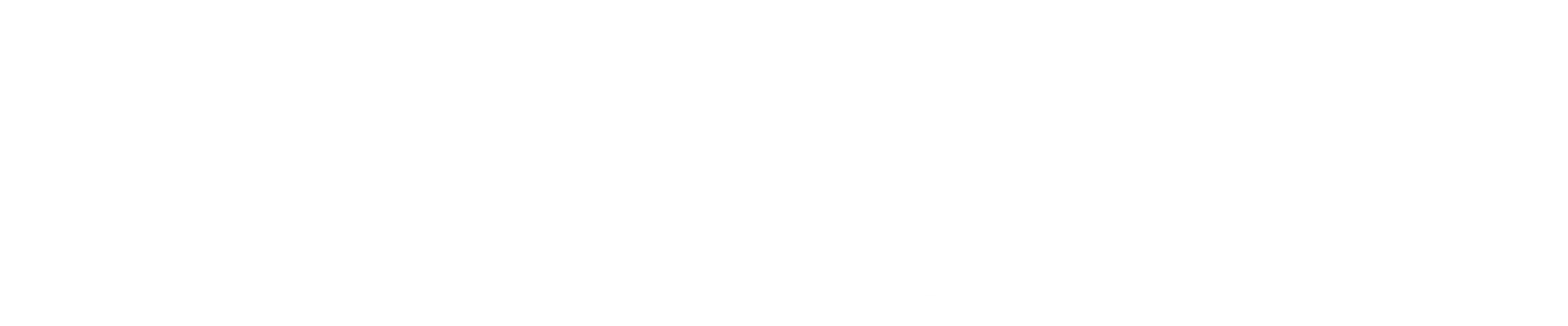 하야부사 소방단