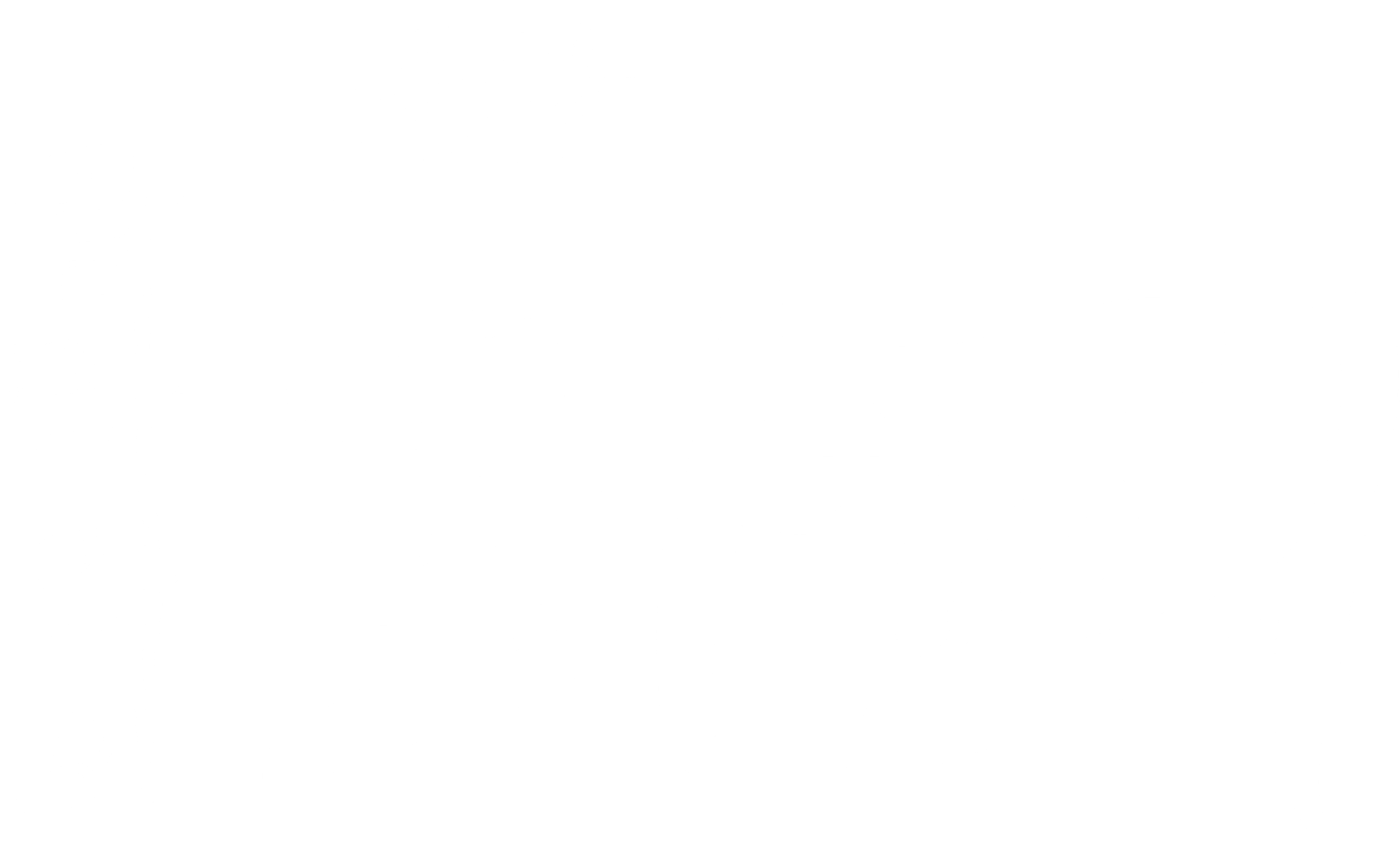 클라라의 음양화피