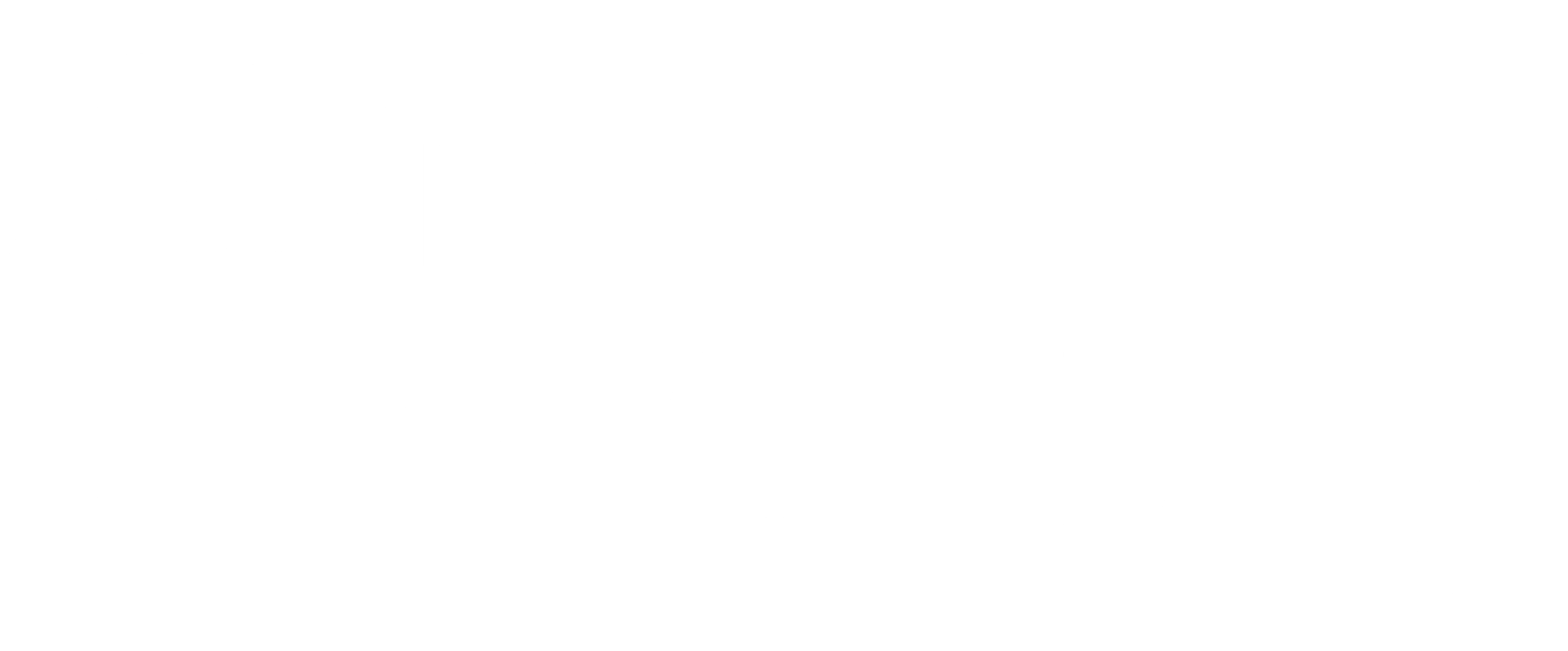 치치치 치킨의 비밀
