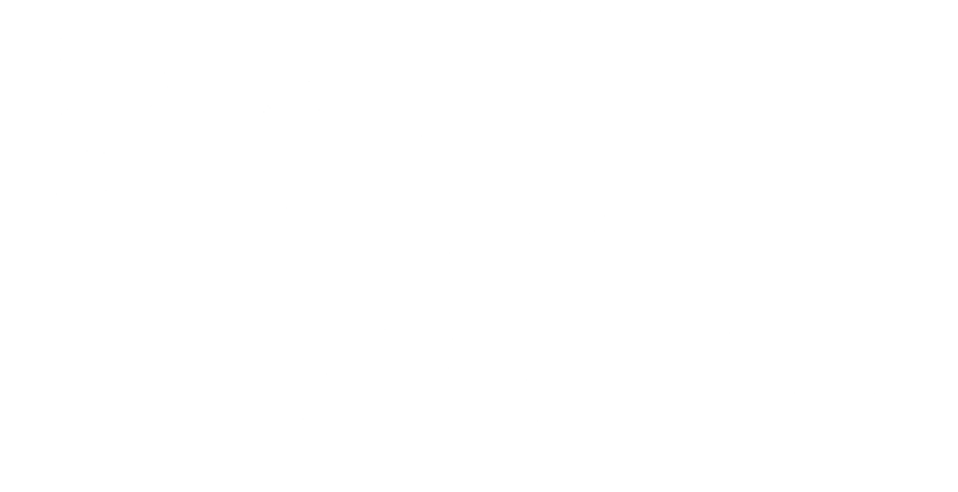 목화솜 피는 날